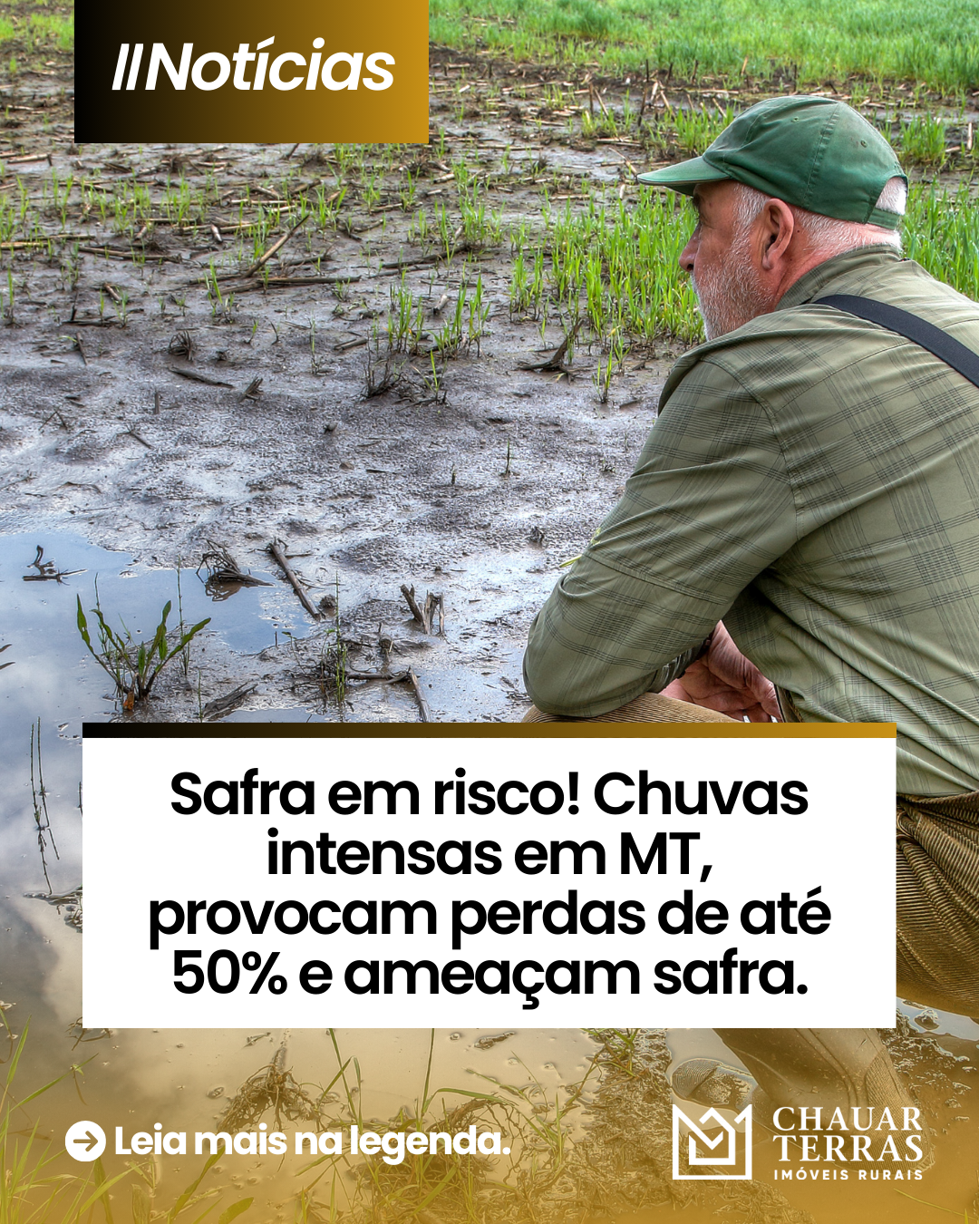 Chuvas em MT provocam perdas de até 50% e ameaçam safra