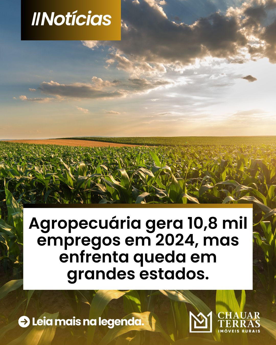 Agropecuária gera 10,8 mil empregos em 2024