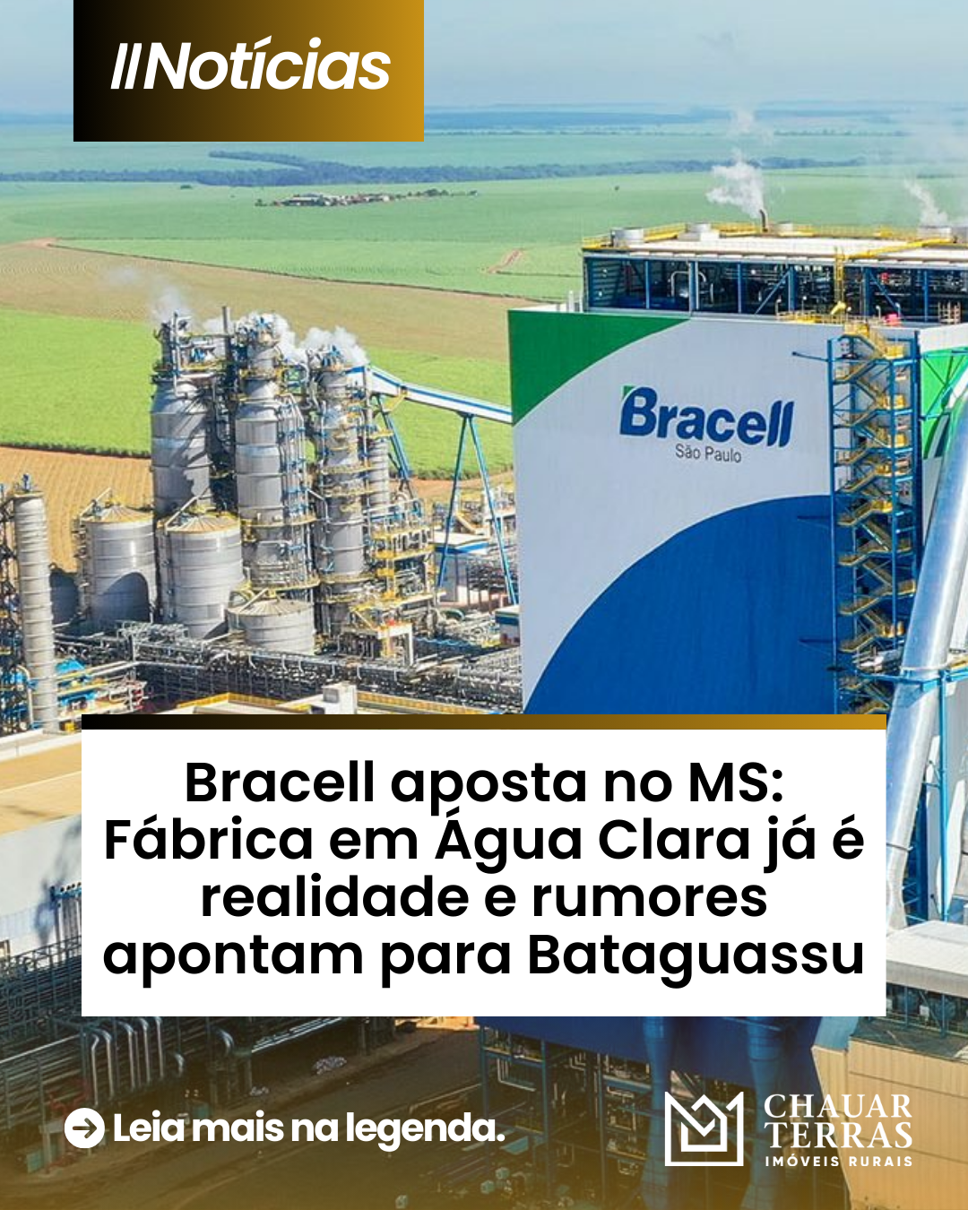 Bracell expande no MS