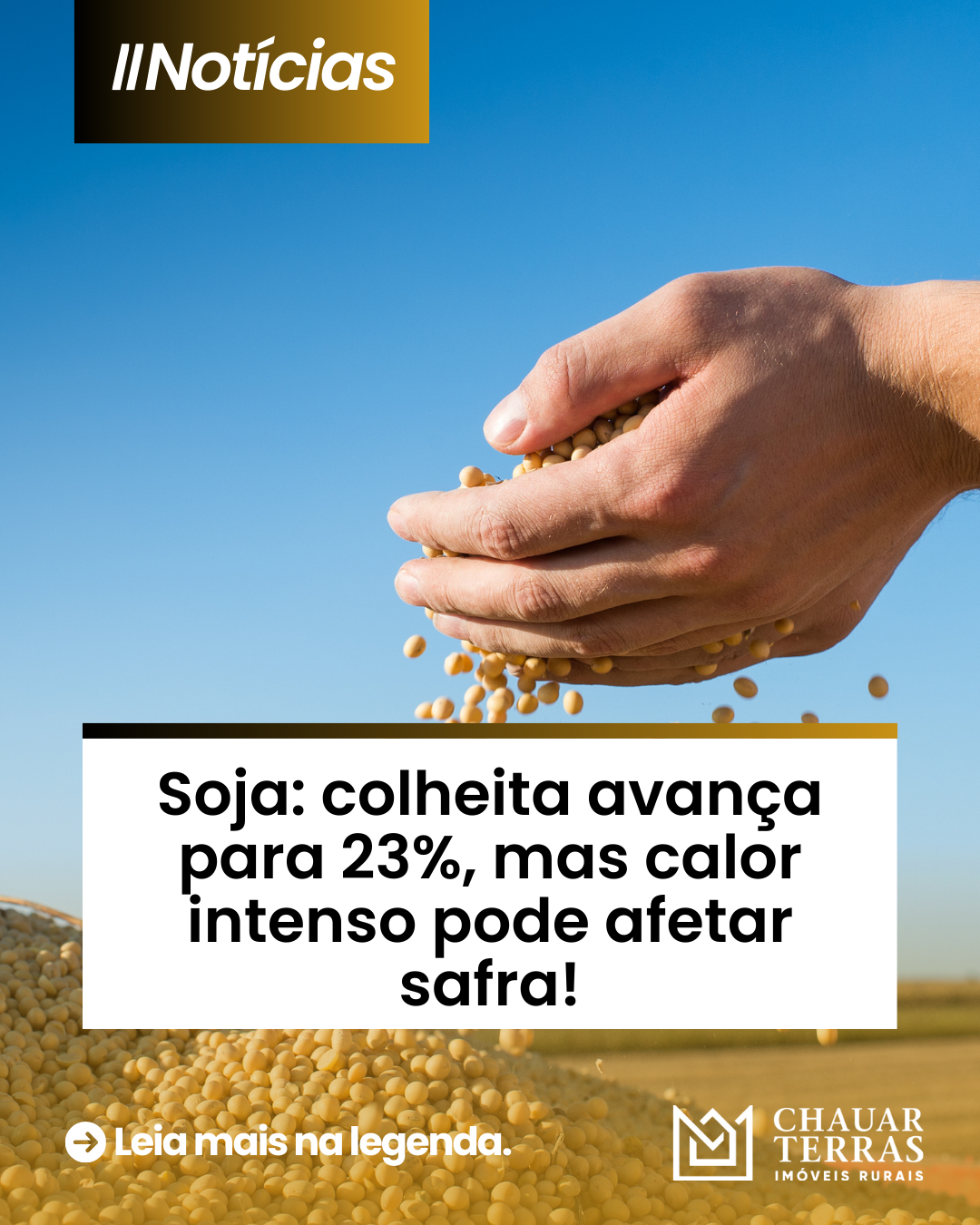 Soja: colheita avança para 23%, mas calor intenso pode afetar safra