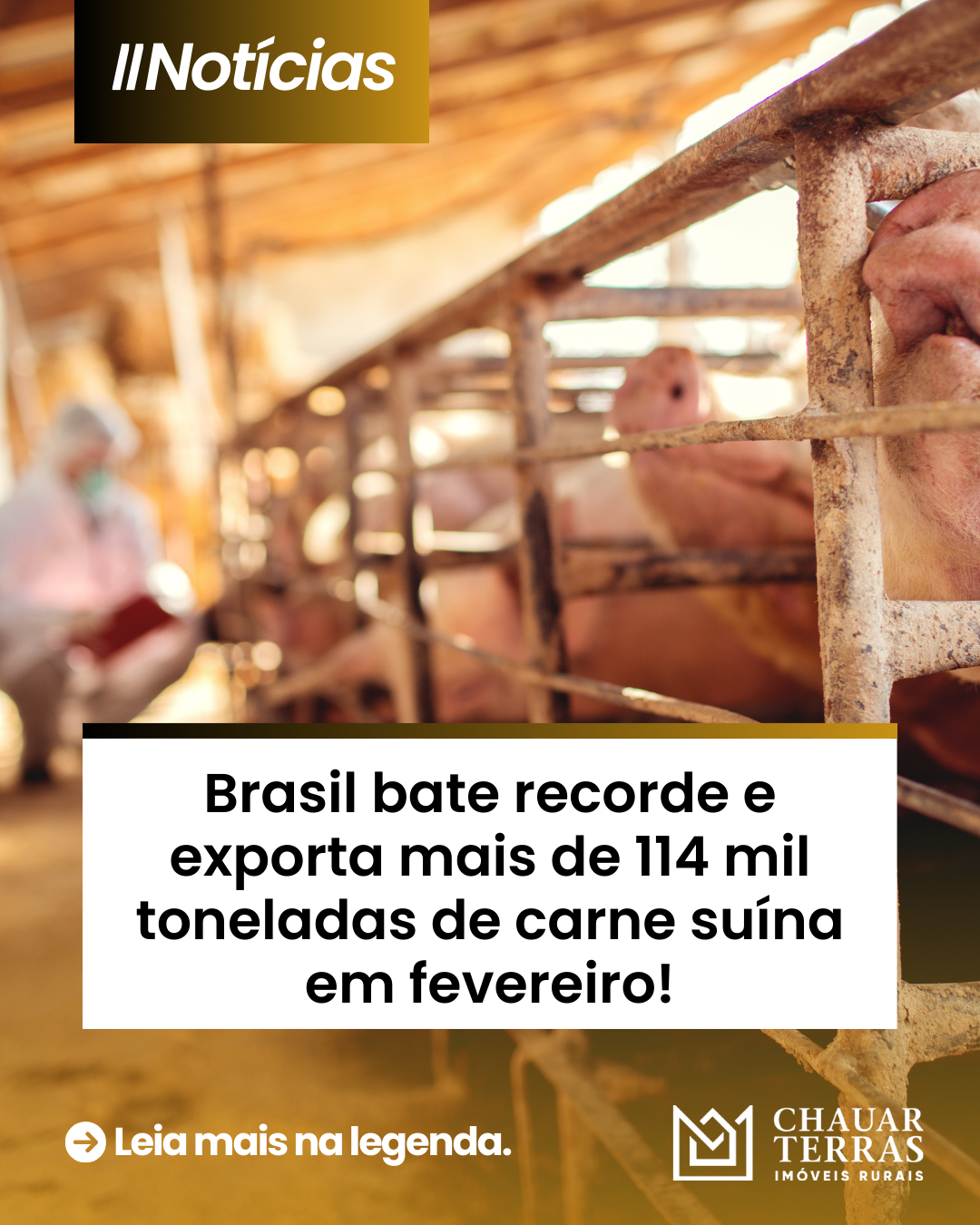 Brasil bate recorde e exporta mais de 114 mil toneladas de carne suína em fevereiro!