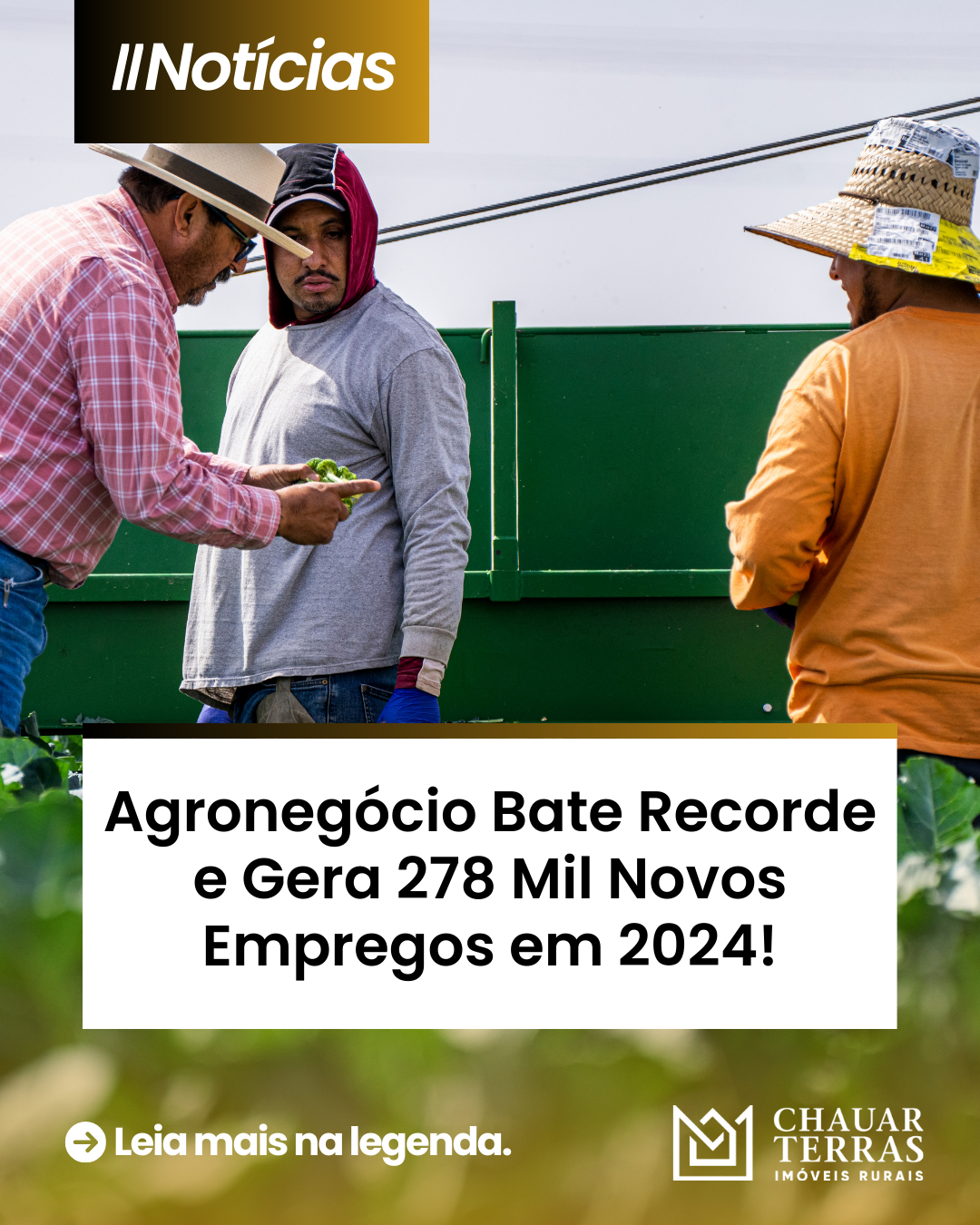 Agronegócio Bate Recorde e Gera 278 Mil Novos Empregos em 2024