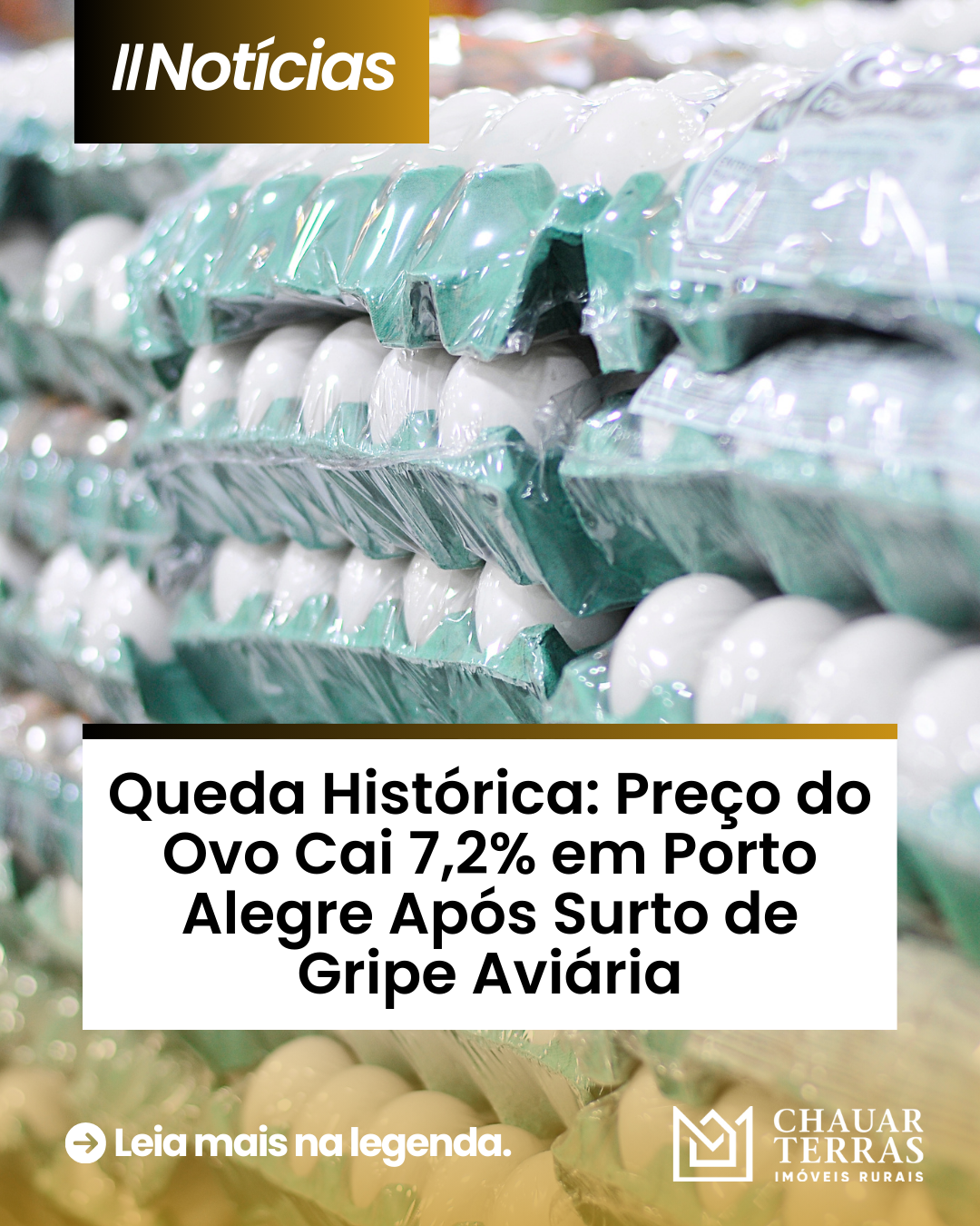 Queda Histórica: Preço do Ovo Cai 7,2% em Porto Alegre Após Surto de Gripe Aviária