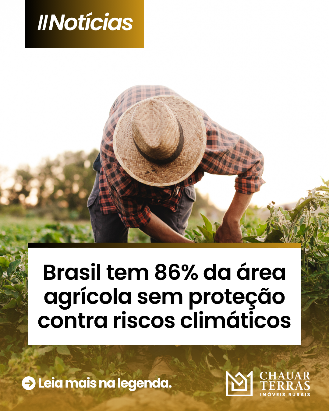 Brasil tem 86% da área agrícola sem proteção contra riscos climáticos