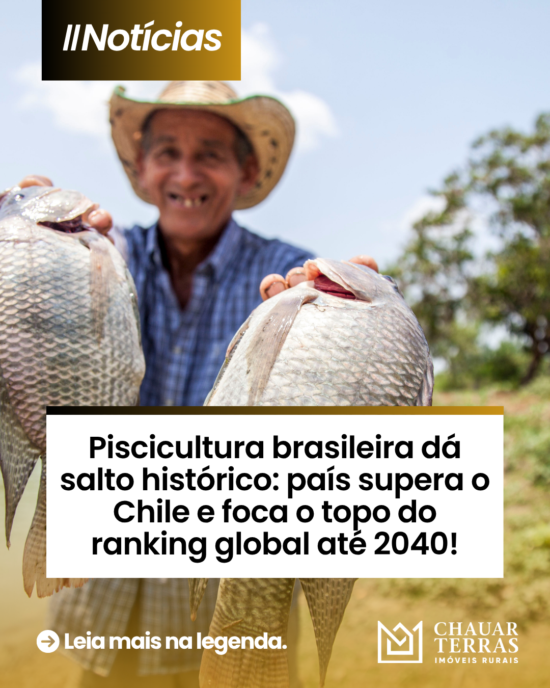 Piscicultura brasileira dá salto histórico: país supera o Chile e foca o topo do ranking global até 2040