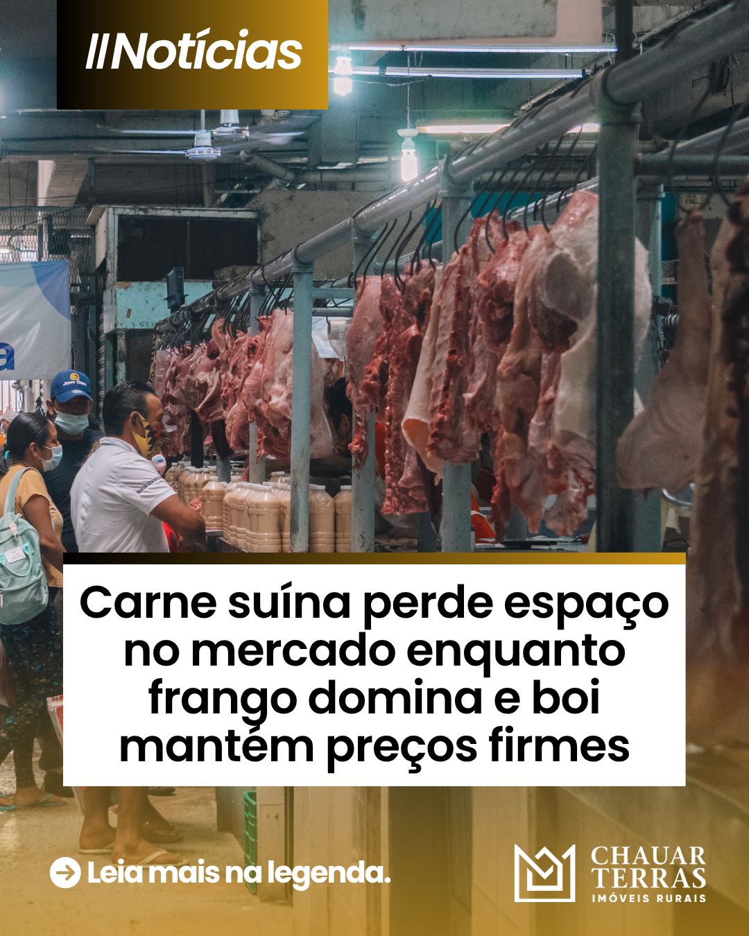 Carne suína perde espaço no mercado enquanto frango domina e boi mantém preços firmes