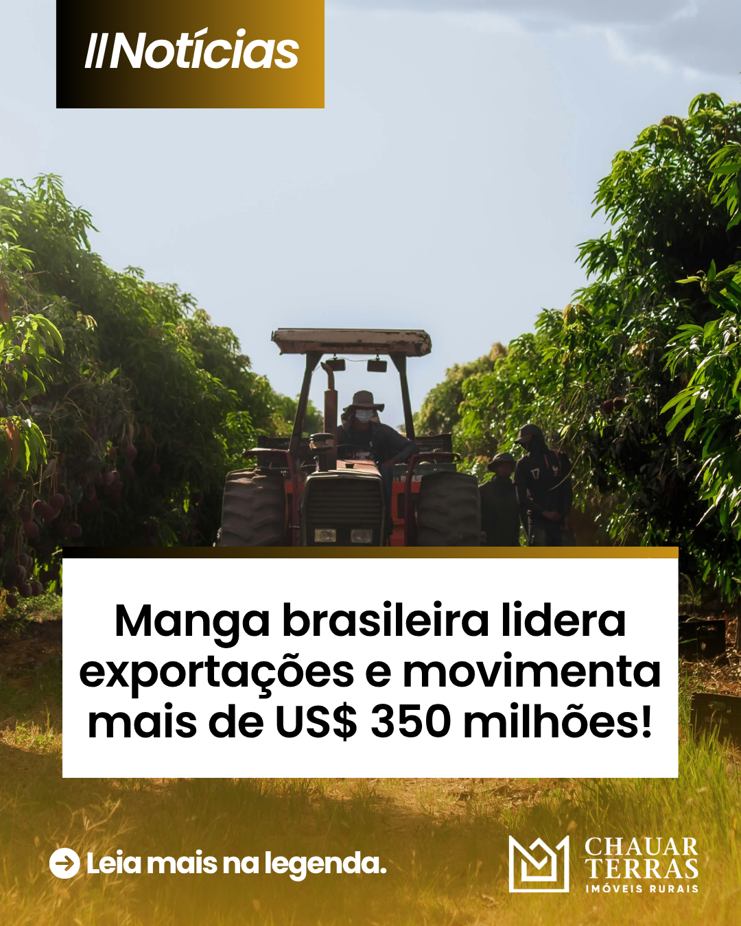 Manga brasileira conquista o mundo e movimenta mais de US$ 350 milhões