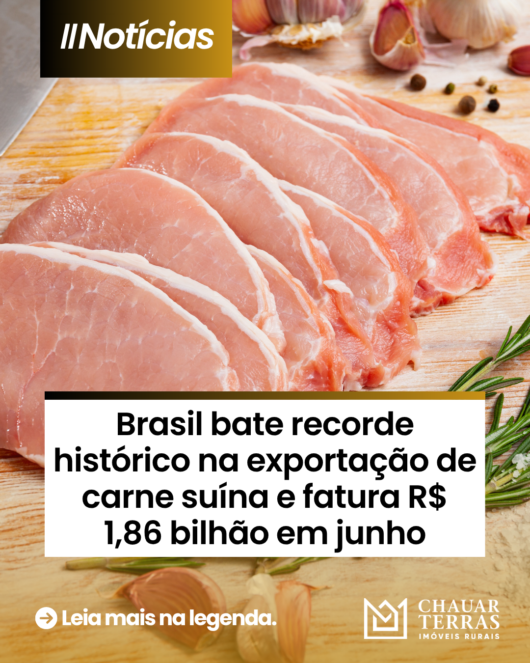 Brasil bate recorde histórico na exportação de carne suína e fatura R$ 1,86 bilhão em junho
