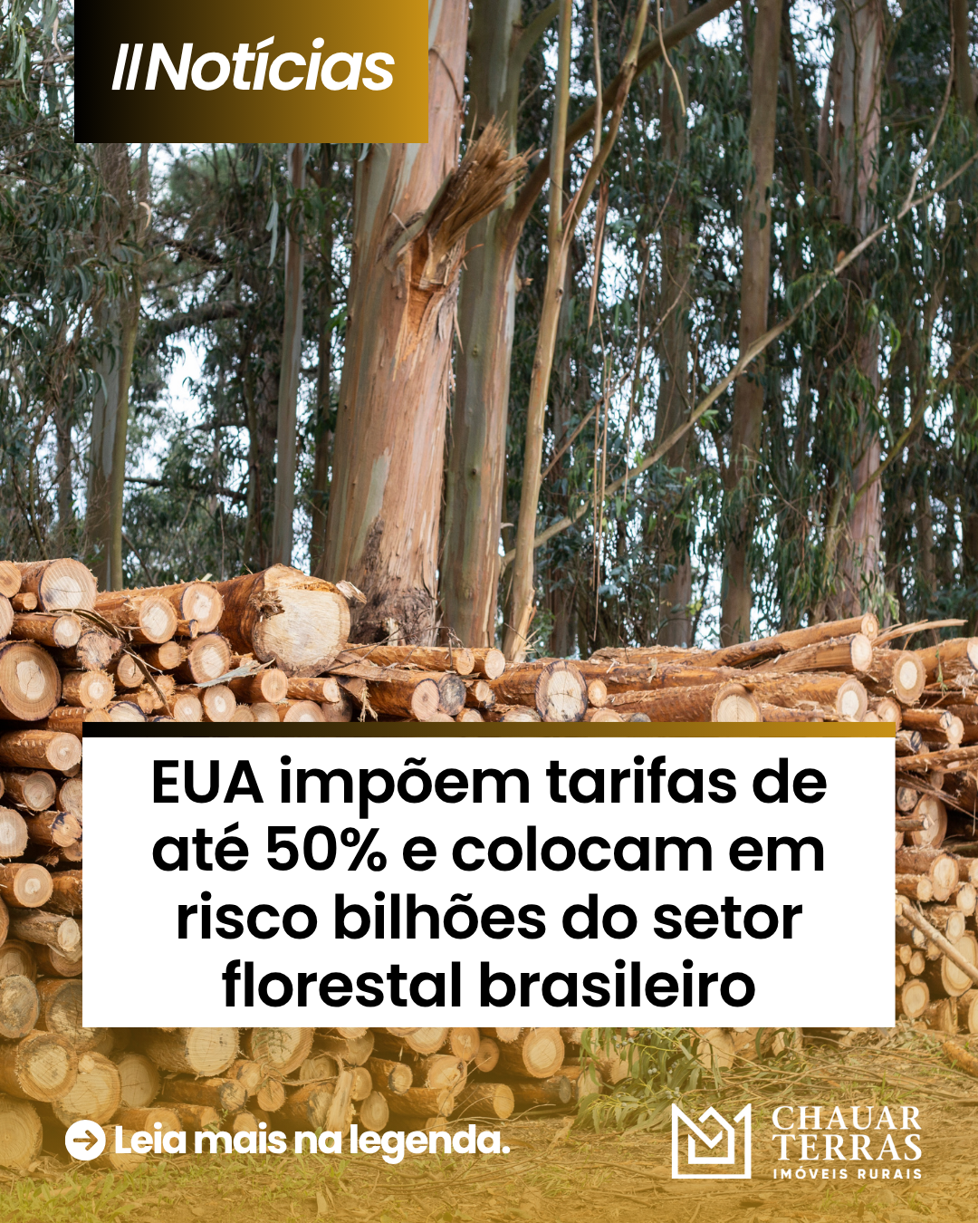 EUA impõem tarifas de até 50% e colocam em risco bilhões do setor florestal brasileiro