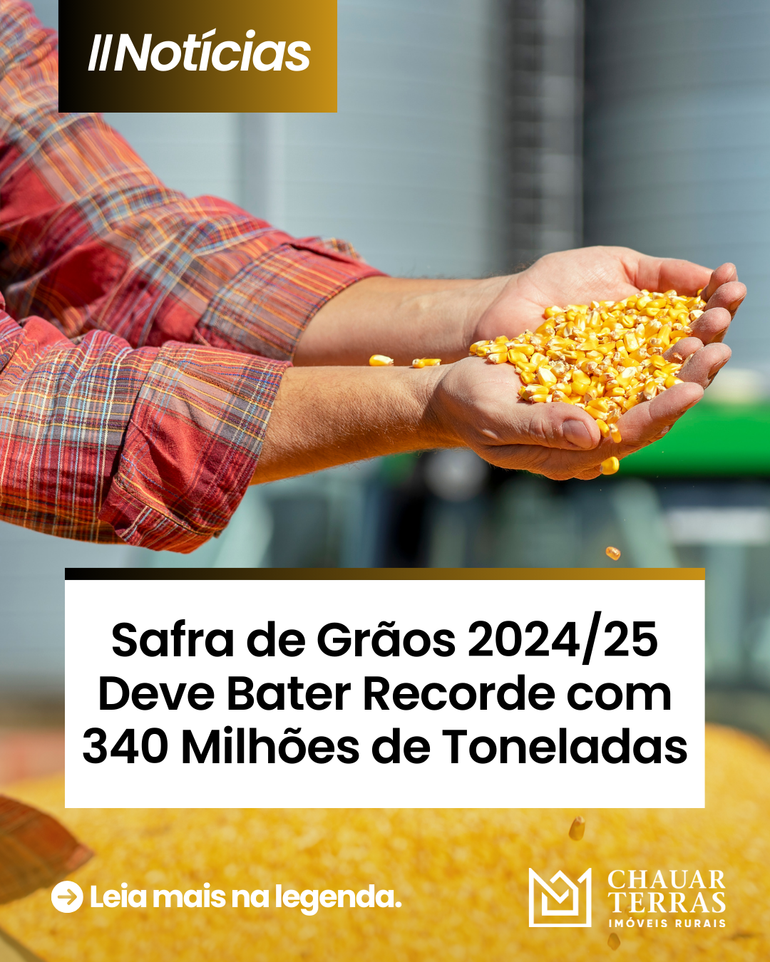 Safra de Grãos 2024/25 Deve Bater Recorde com 340 Milhões de Toneladas