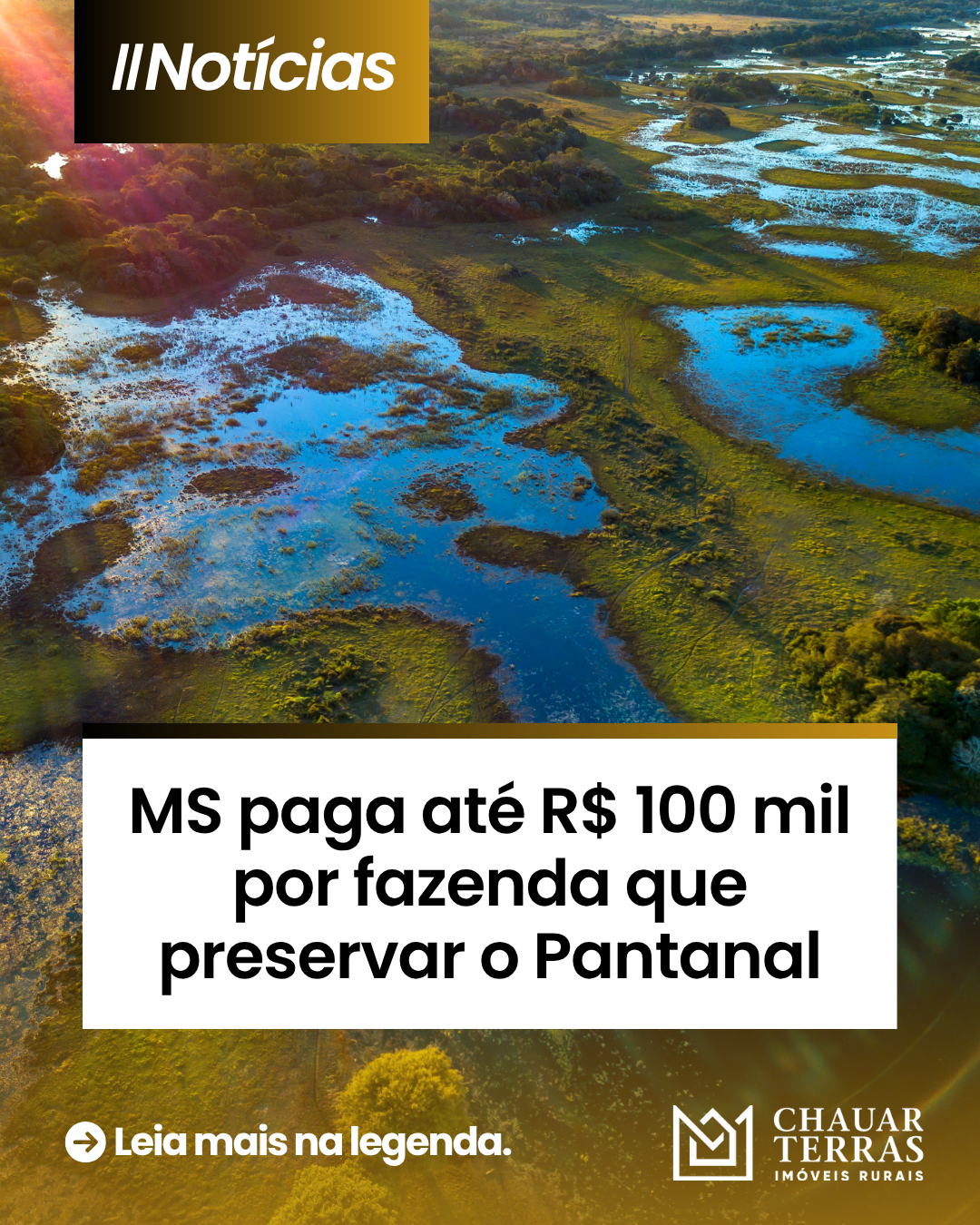 Produtores do Pantanal poderão lucrar com conservação ambiental