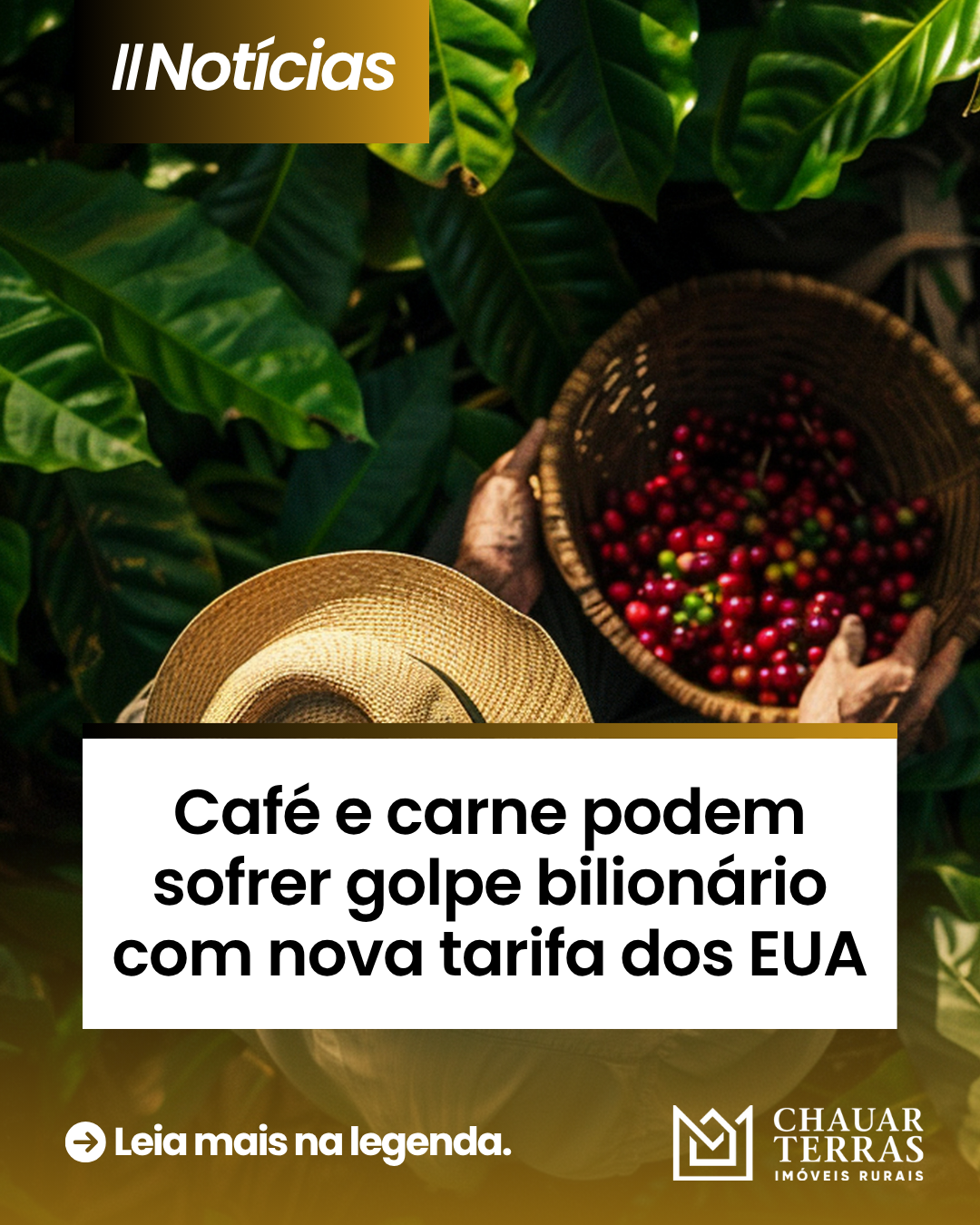 Café e carne podem sofrer golpe bilionário com nova tarifa dos EUA