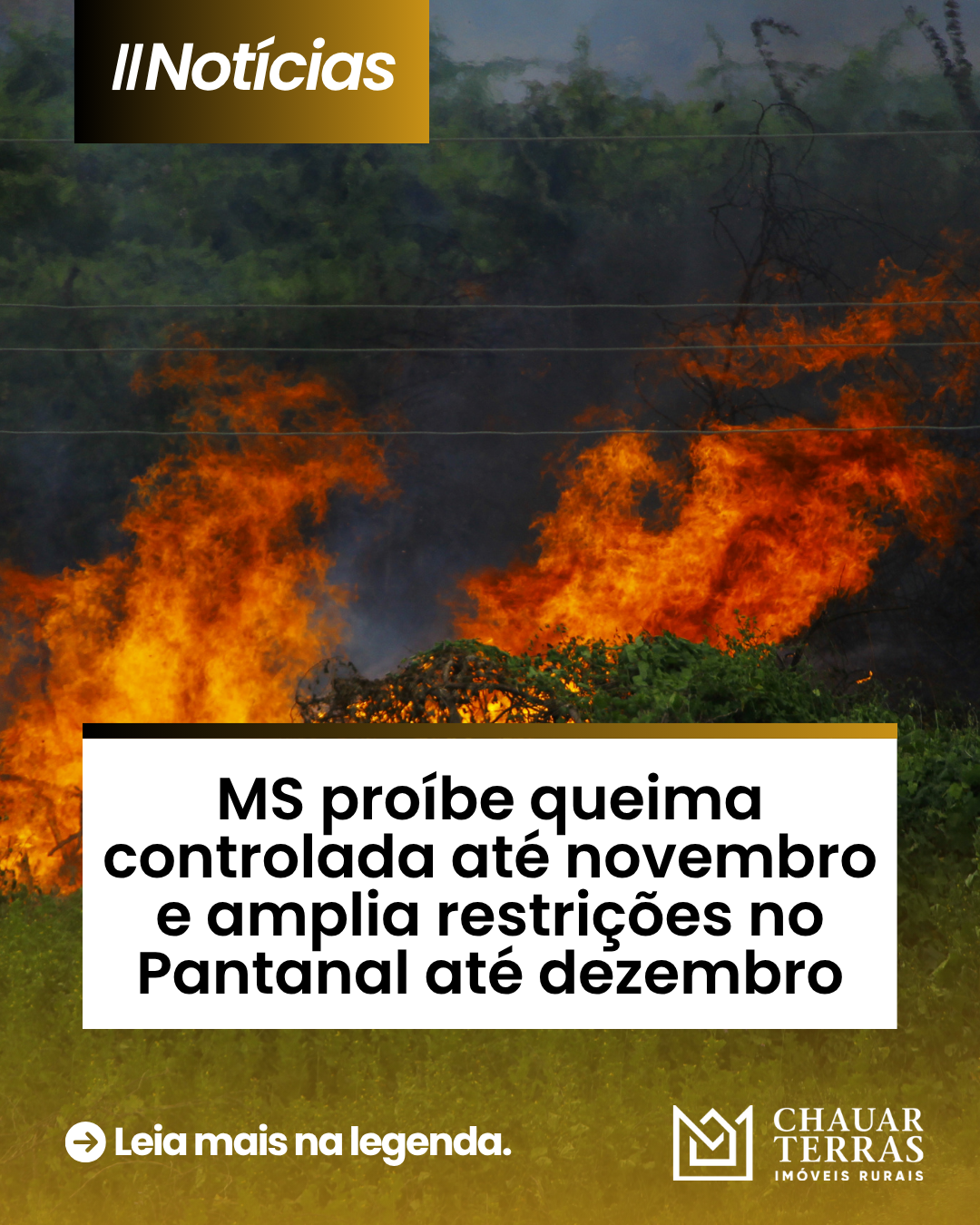 MS proíbe queima controlada até novembro e amplia restrições no Pantanal até dezembro