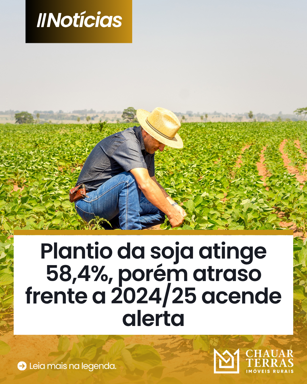 Plantio da soja atinge 58,4%, porém atraso frente a 2024/25 acende alerta