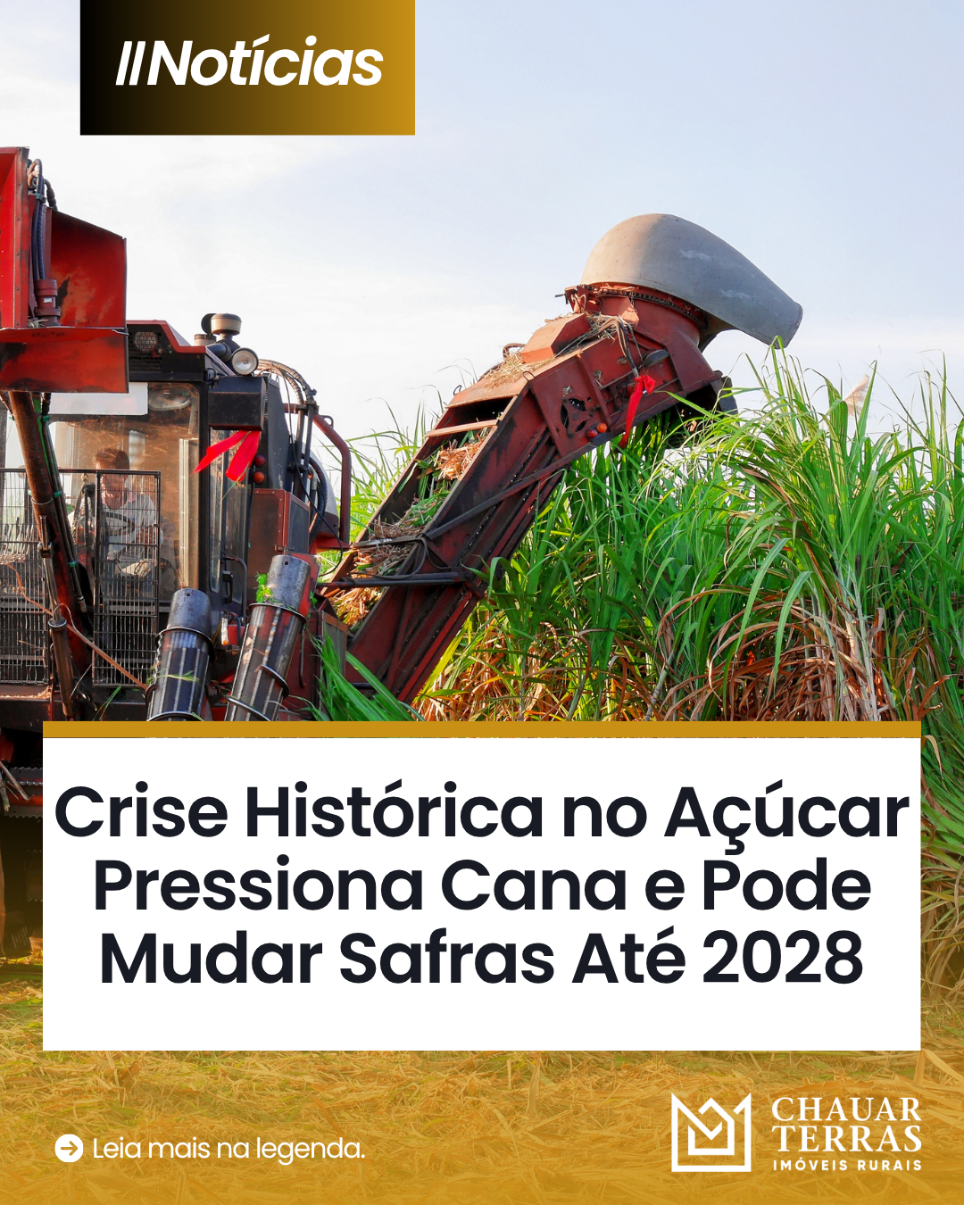 Crise Histórica no Açúcar Pressiona Cana e Pode Mudar Safras Até 2028