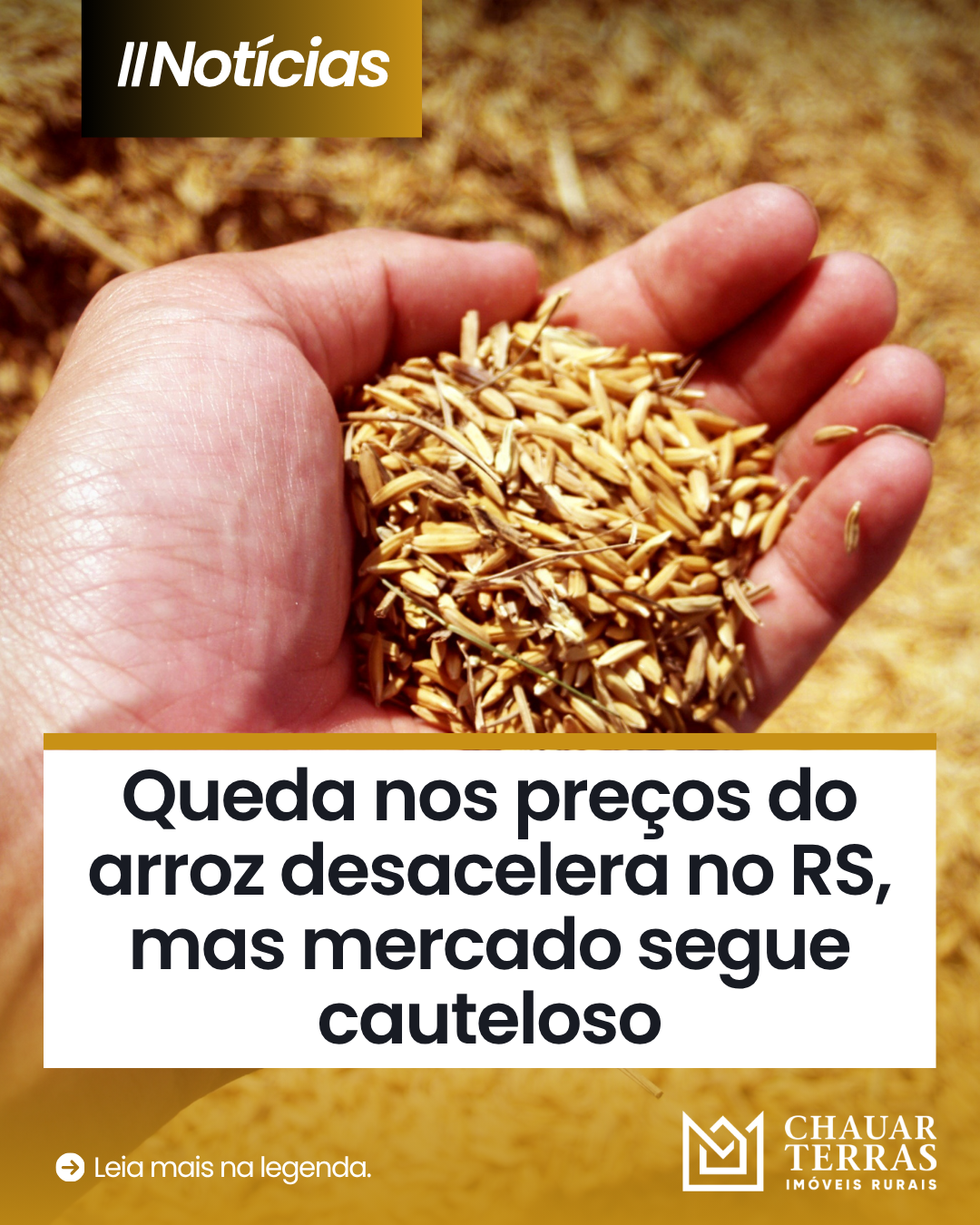 Queda nos preços do arroz desacelera no RS, mas mercado segue cauteloso