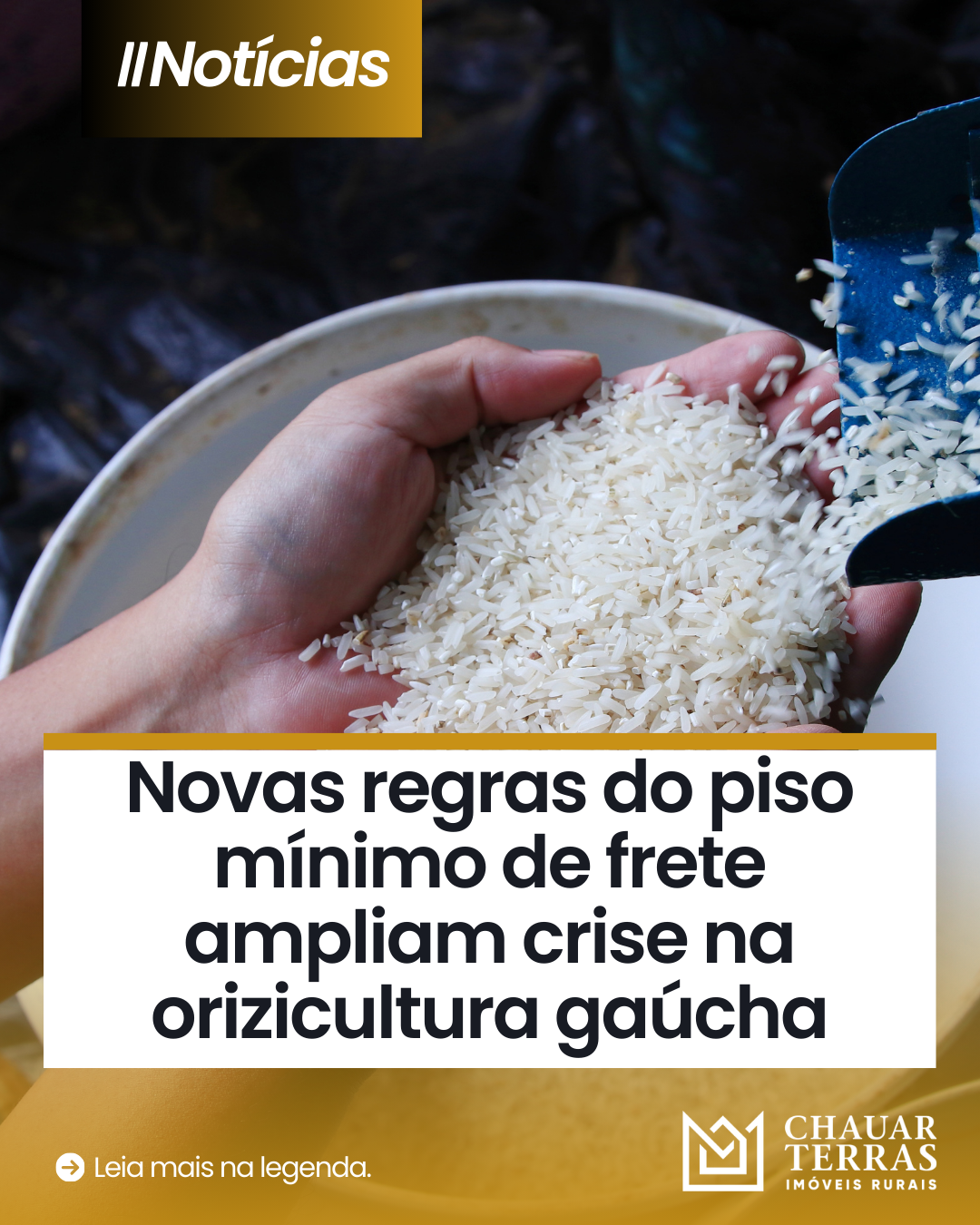 Novas regras do piso mínimo de frete ampliam crise na orizicultura gaúcha