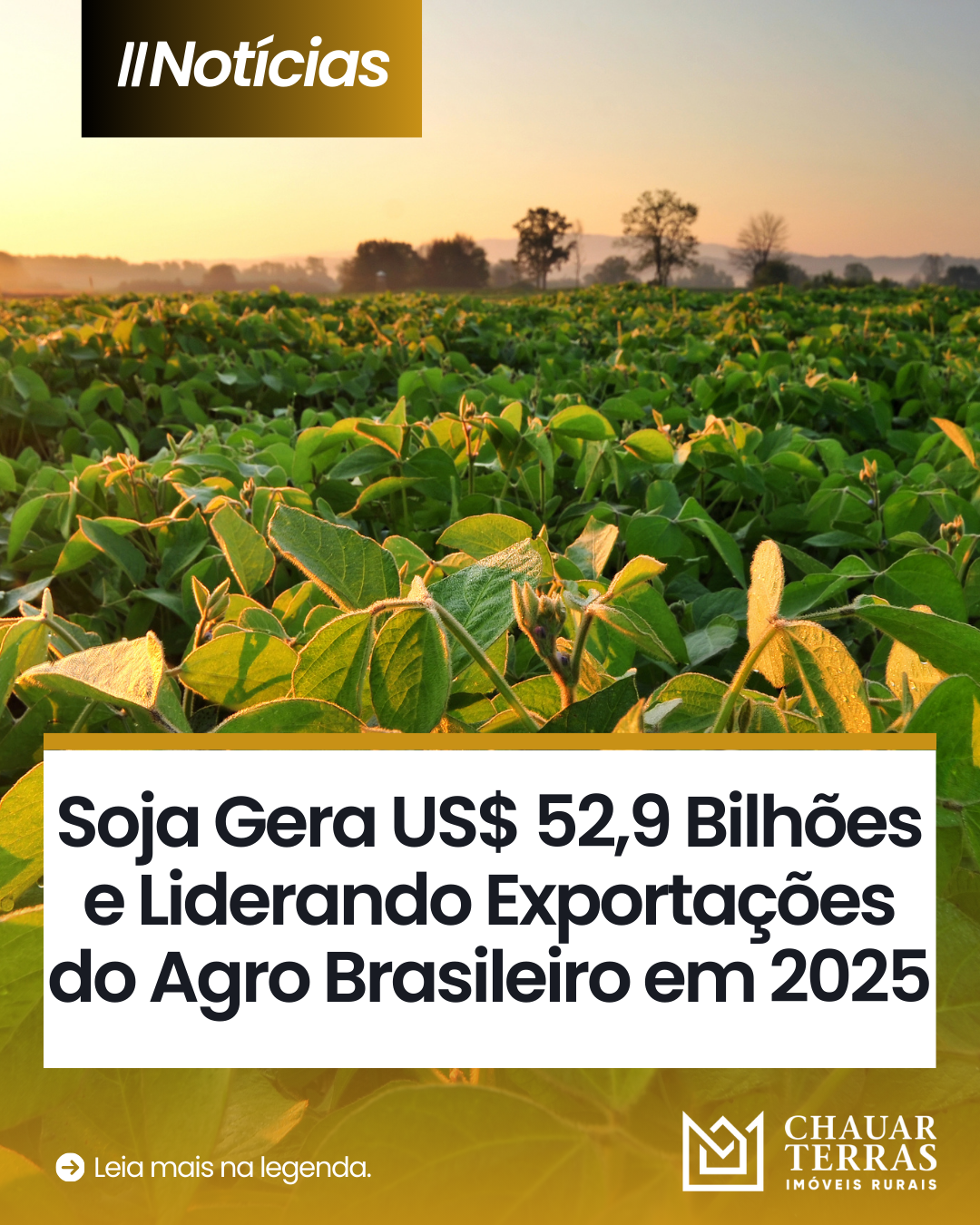 Soja Gera US$ 52,9 Bilhões e Liderando Exportações do Agro Brasileiro em 2025