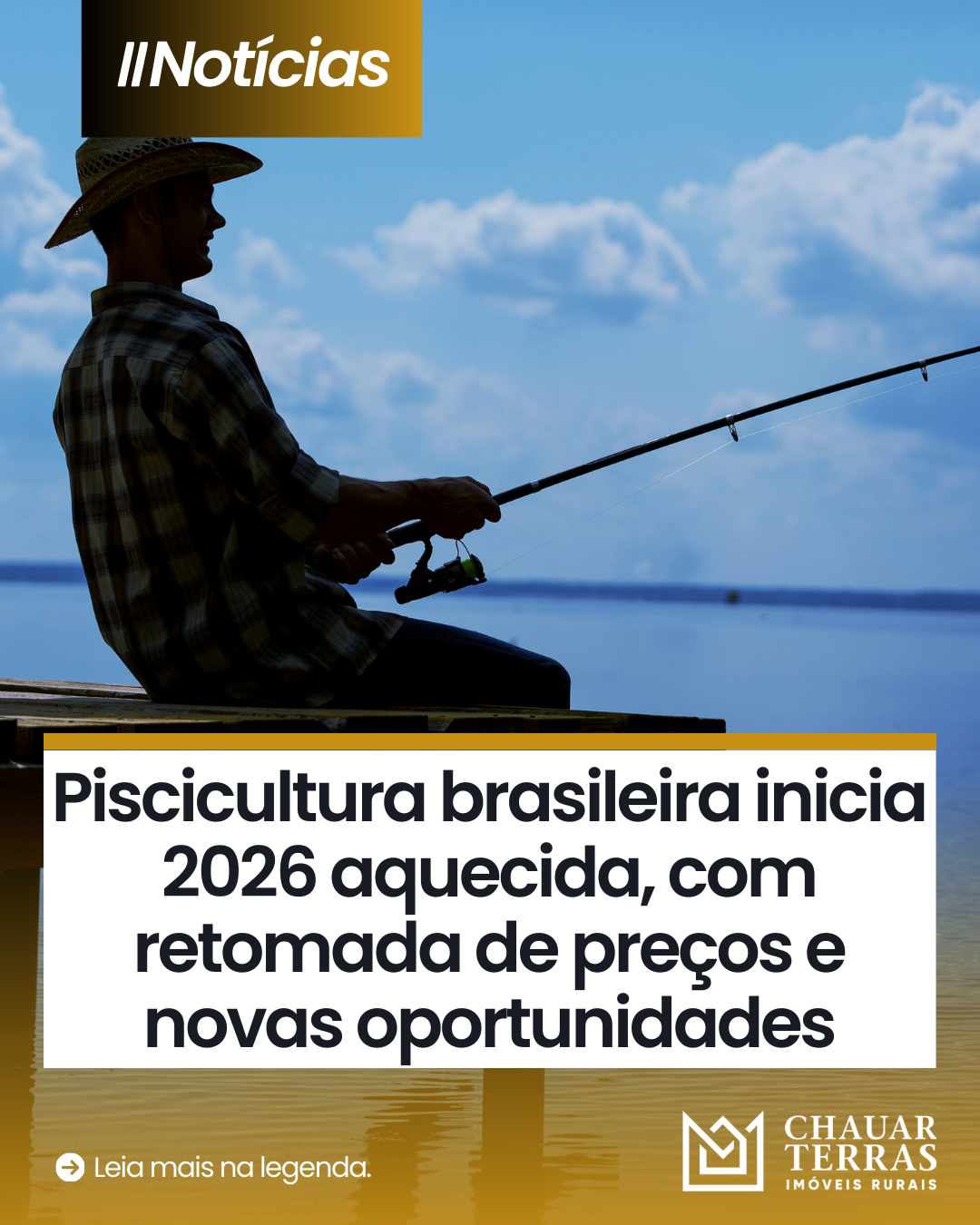Piscicultura brasileira inicia 2026 aquecida, com retomada de preços e novas oportunidades