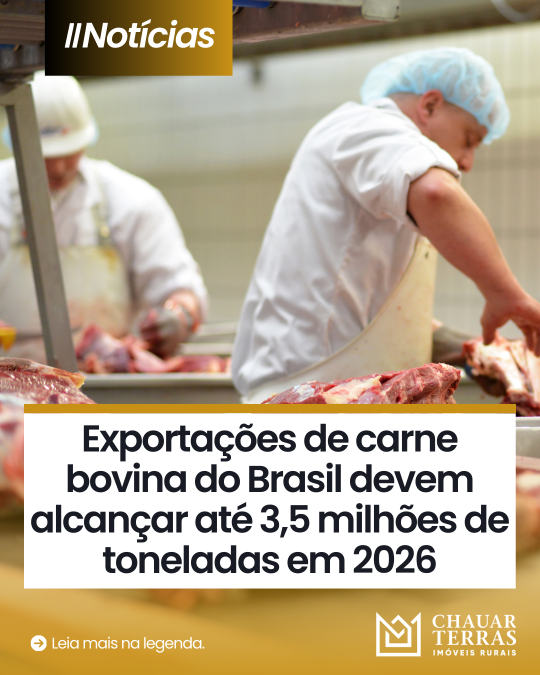 Exportações de carne bovina do Brasil devem alcançar até 3,5 milhões de toneladas em 2026