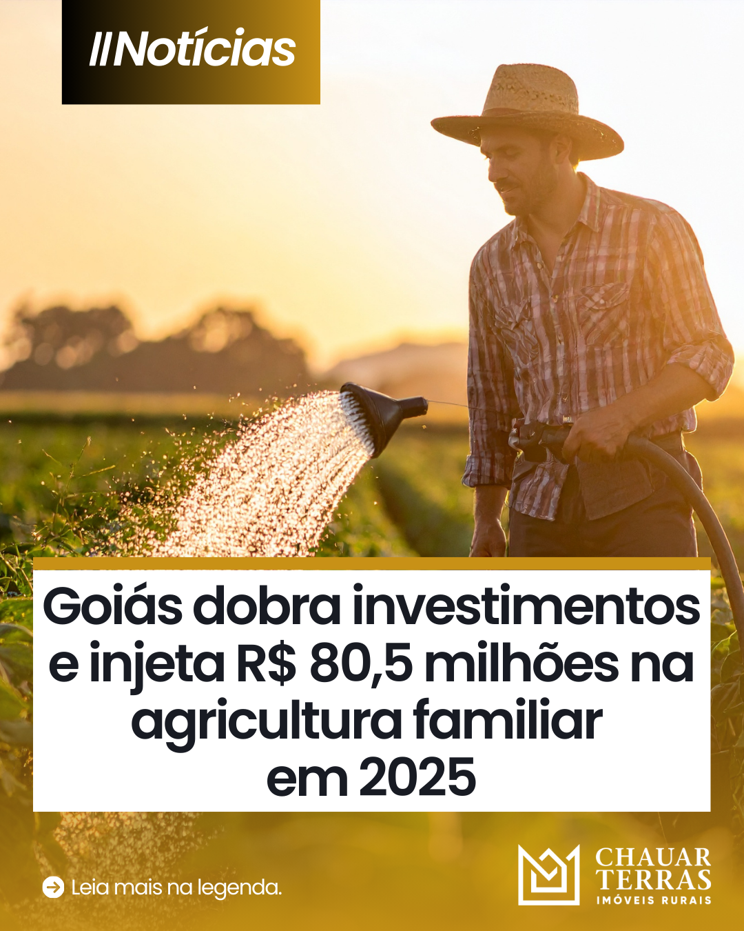 Goiás dobra investimentos e injeta R$ 80,5 milhões na agricultura familiar em 2025