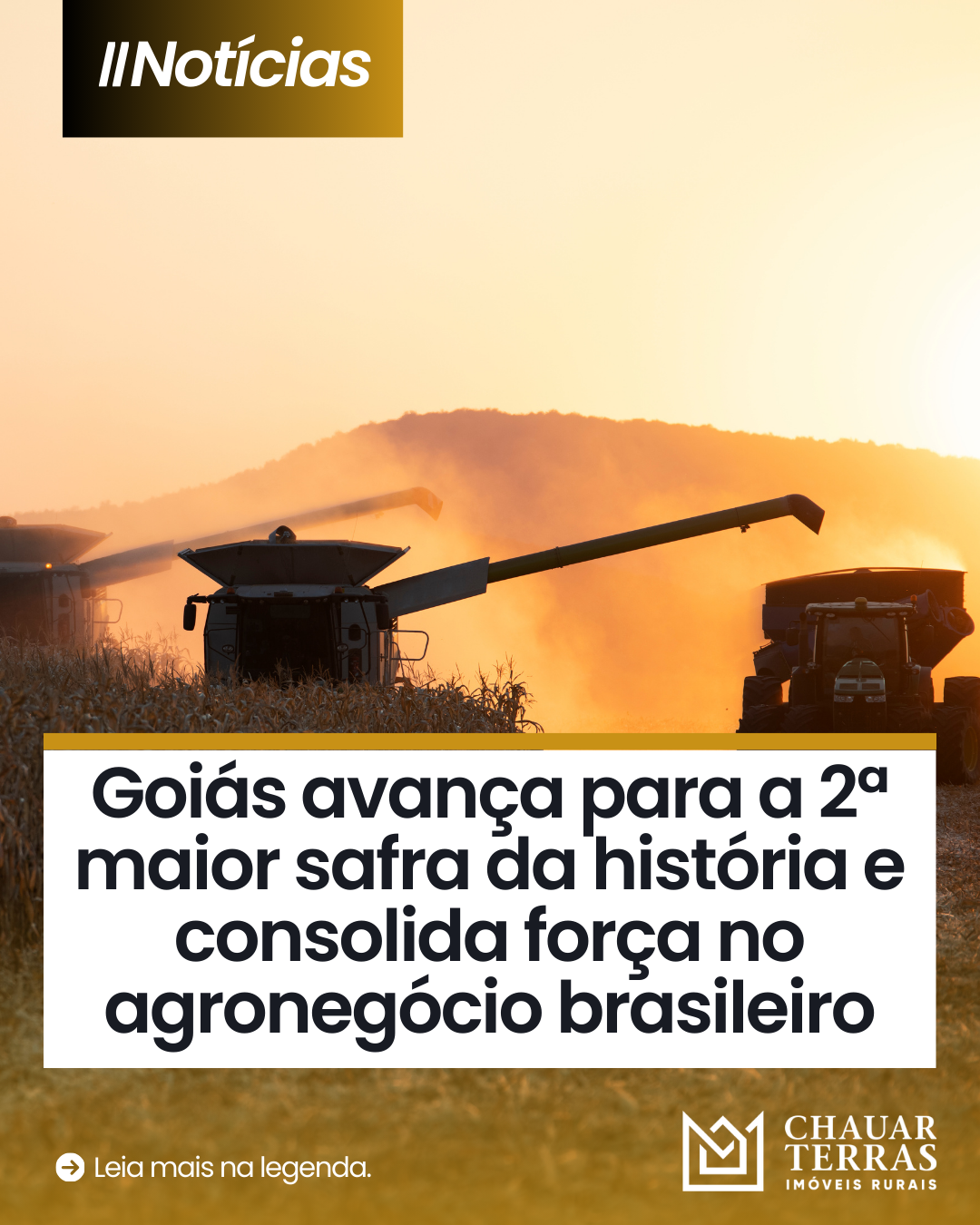 Goiás avança para a 2ª maior safra da história e consolida força no agronegócio brasileiro