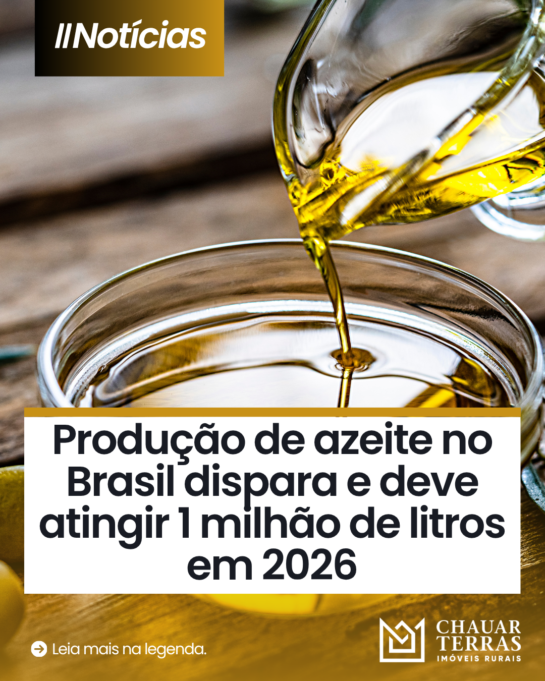 Produção de azeite no Brasil dispara e deve atingir 1 milhão de litros em 2026