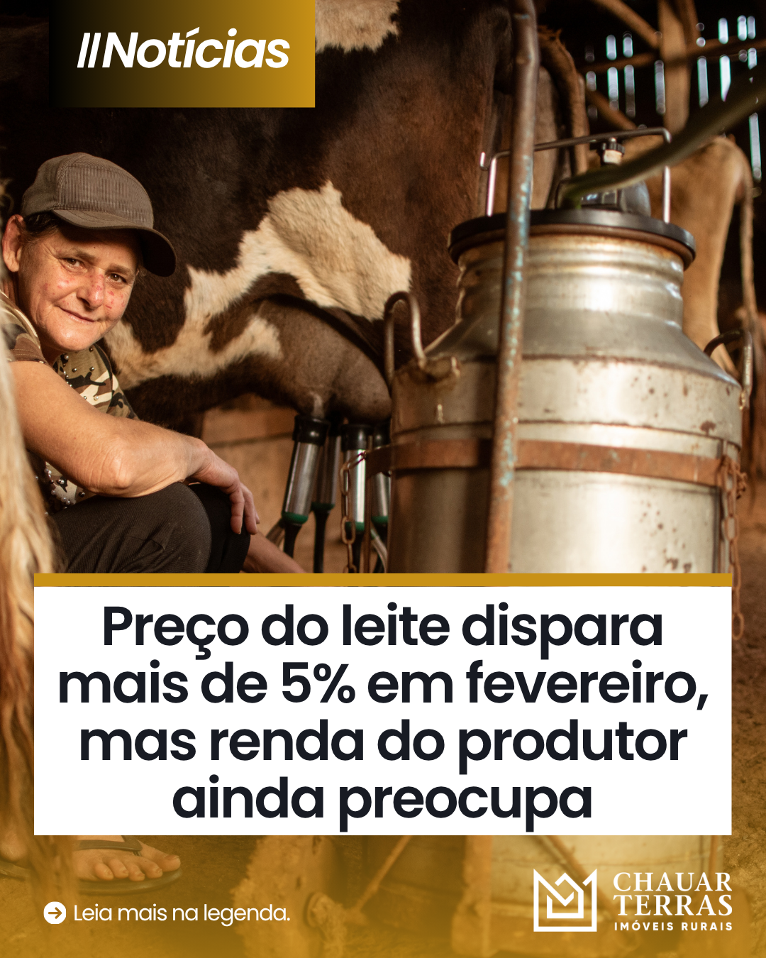 Preço do leite dispara mais de 5% em fevereiro, mas renda do produtor ainda preocupa