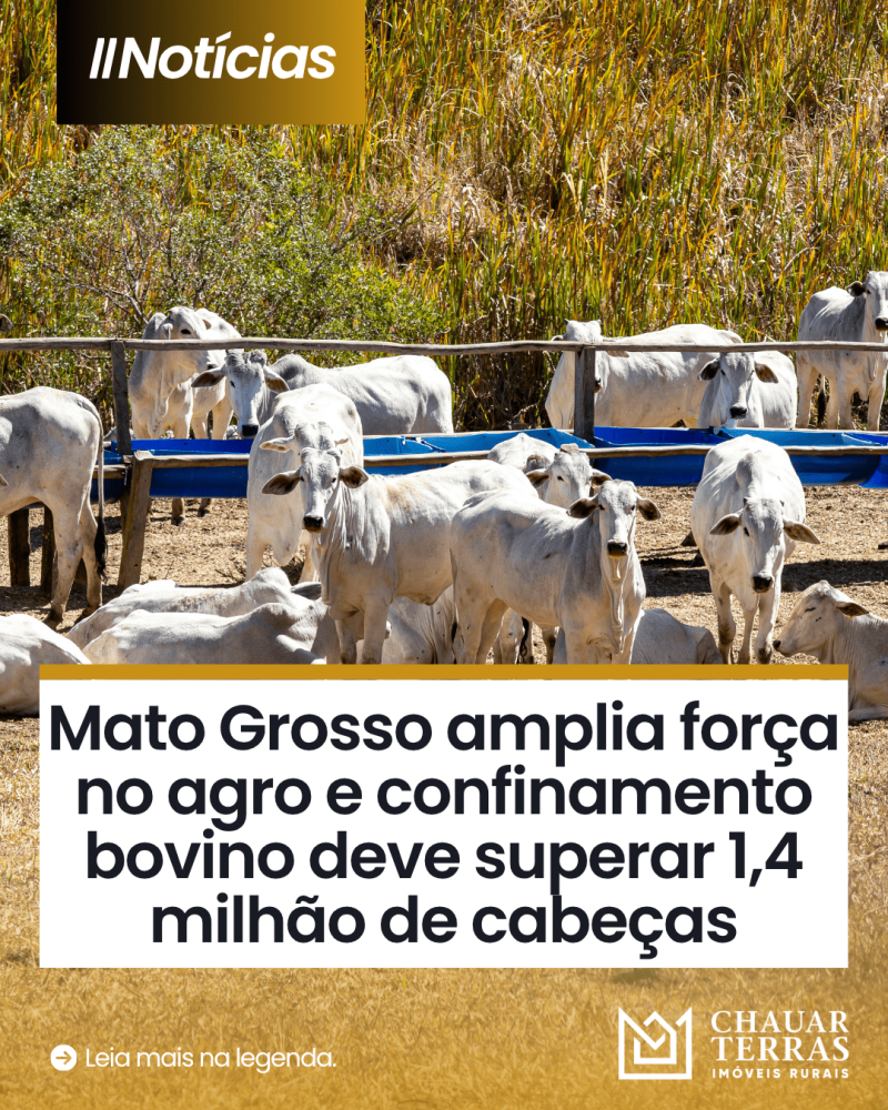 titulo publicacao