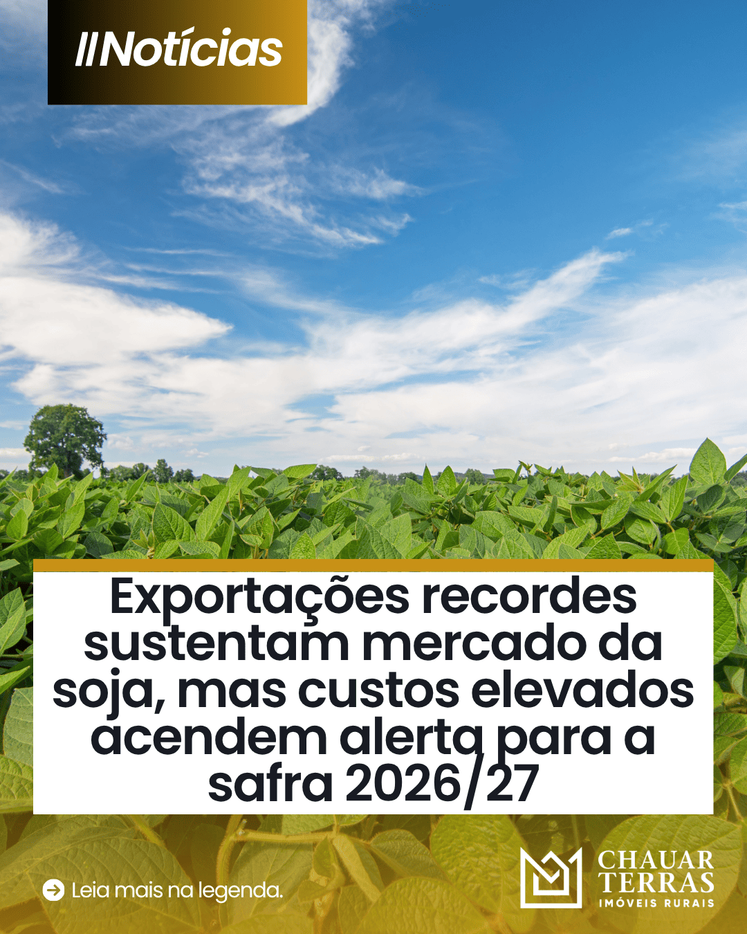 Mercado da soja entra em alerta para safra 2026/27