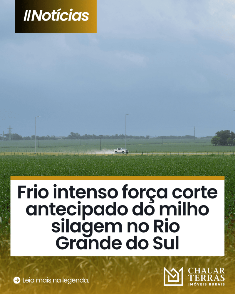 titulo publicacao