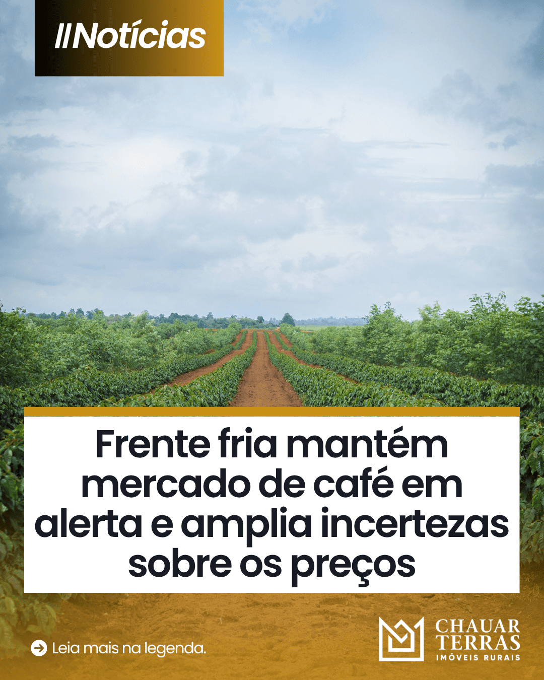 Frente fria deixa mercado de café em alerta