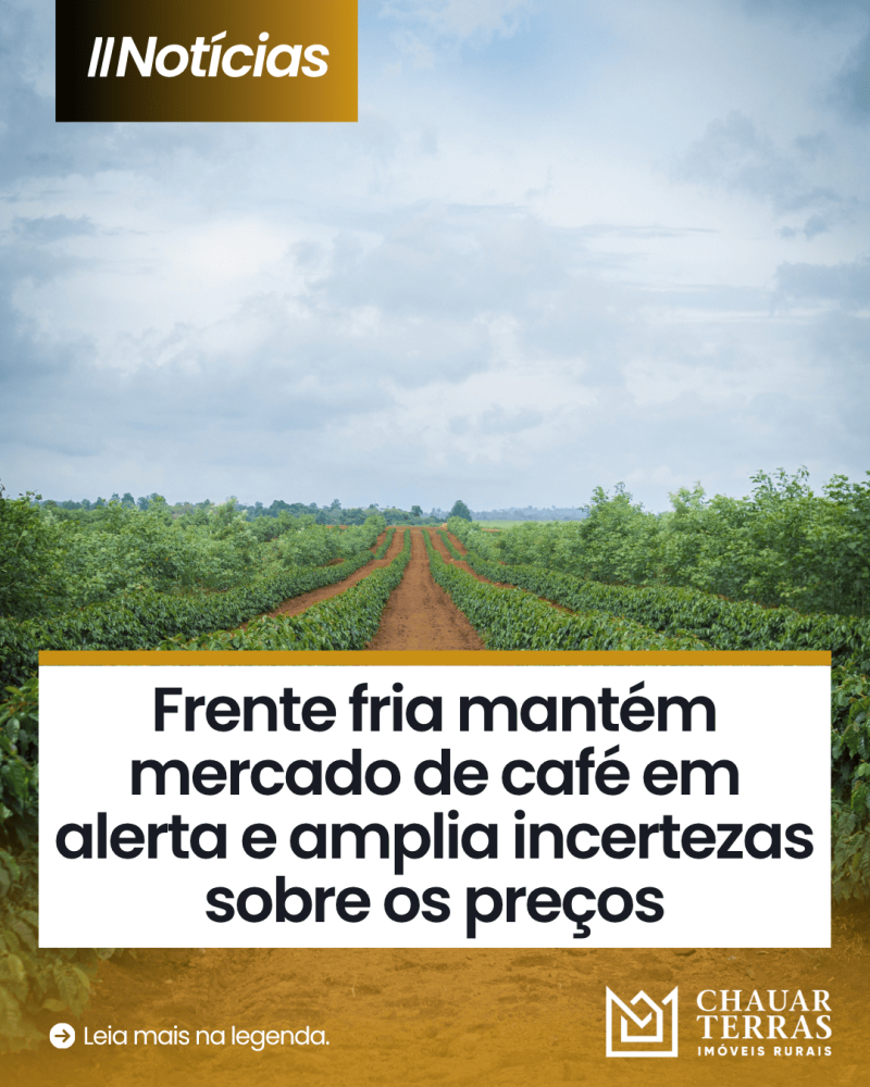 titulo publicacao