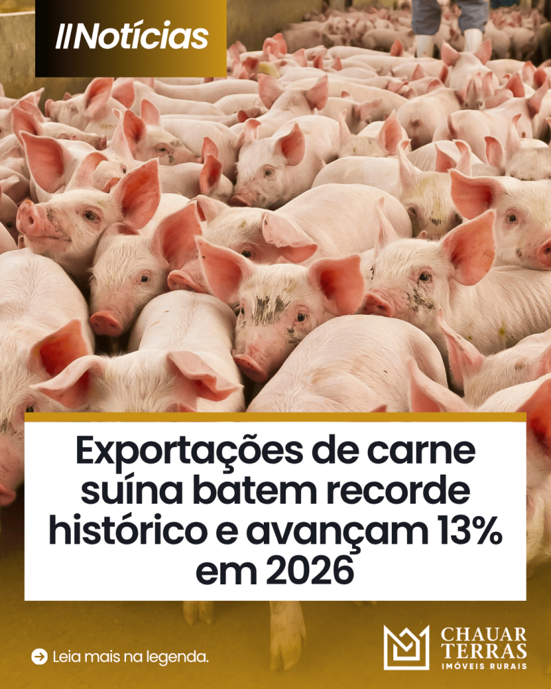 titulo publicacao