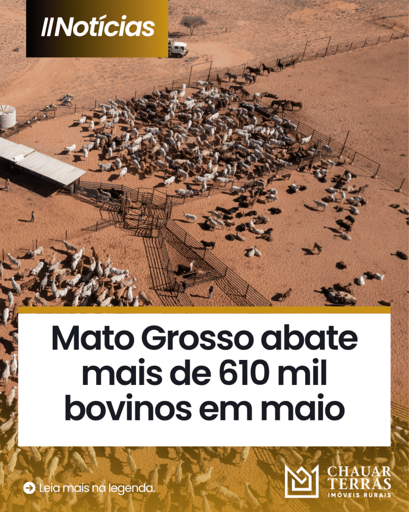 titulo publicacao