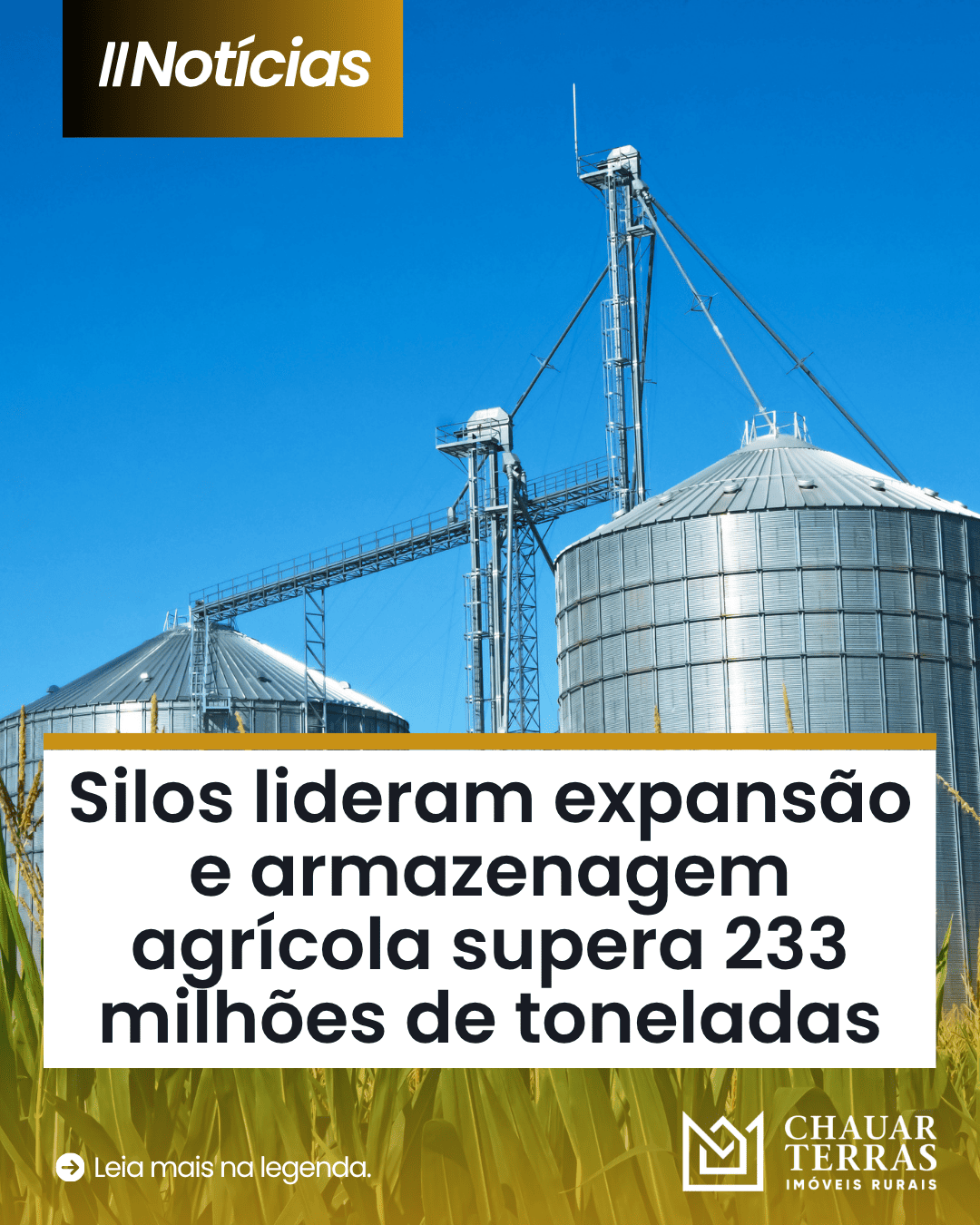 Capacidade de armazenagem chega a 233,8 milhões