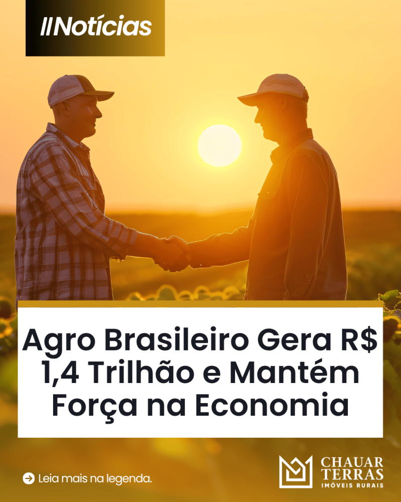 titulo publicacao