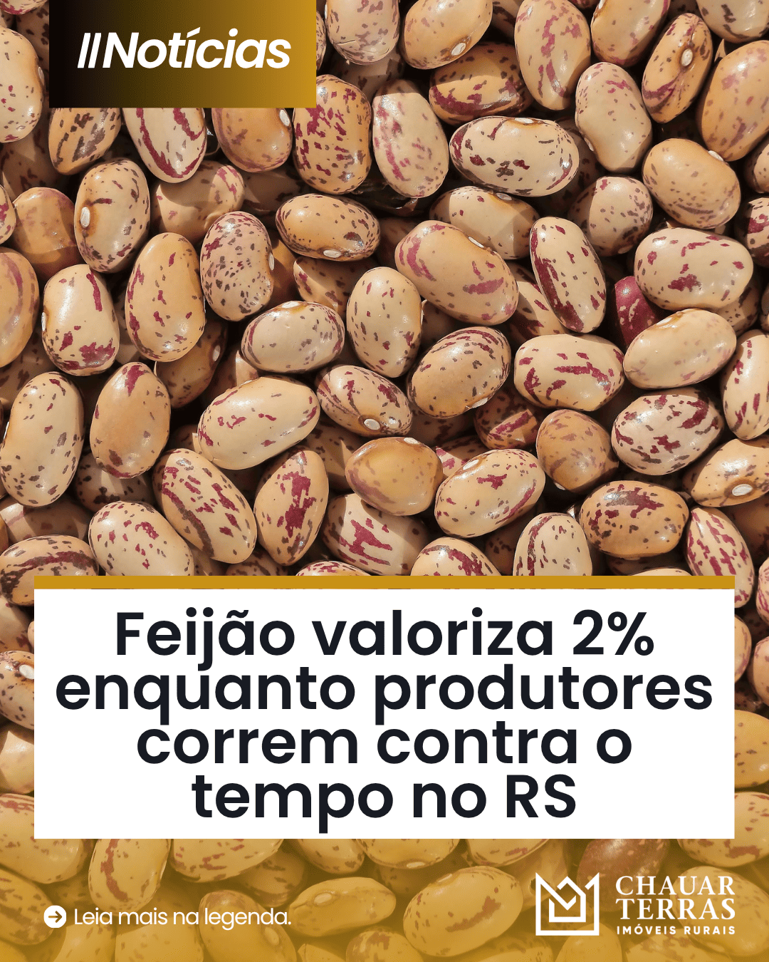 Alta do feijão preocupa mercado e produtores
