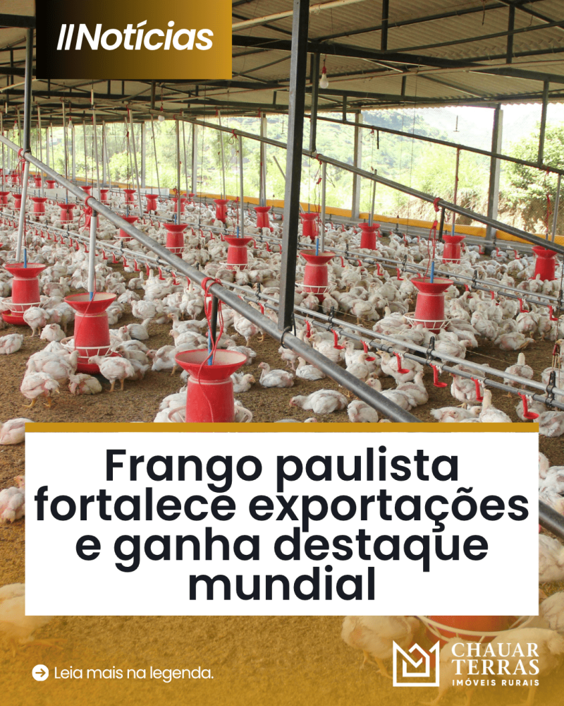 titulo publicacao