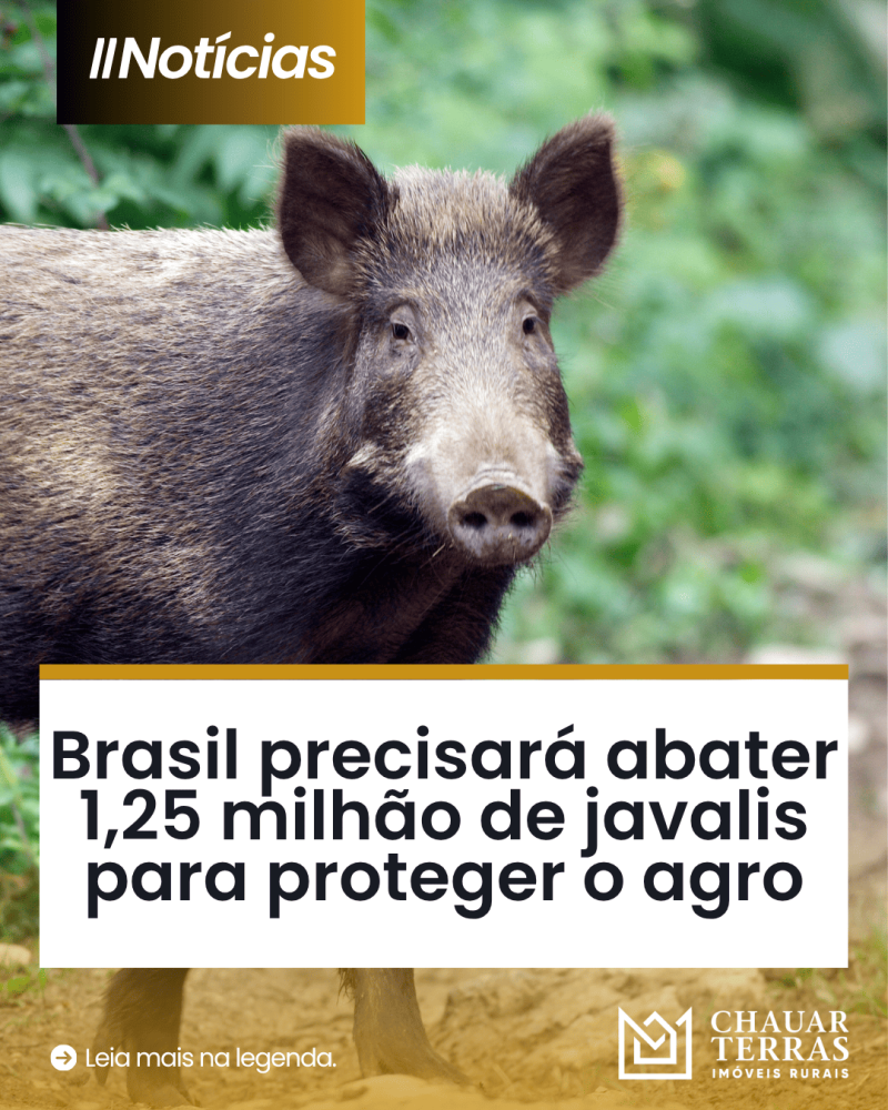titulo publicacao