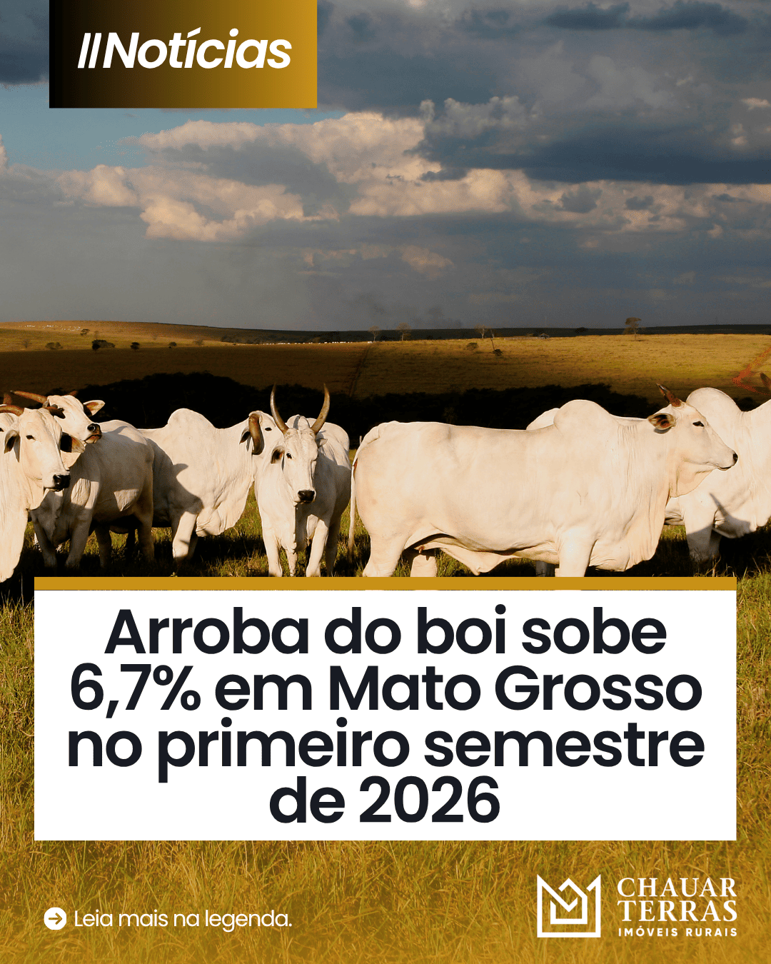 Arroba sobe 6,7% no semestre em Mato Grosso