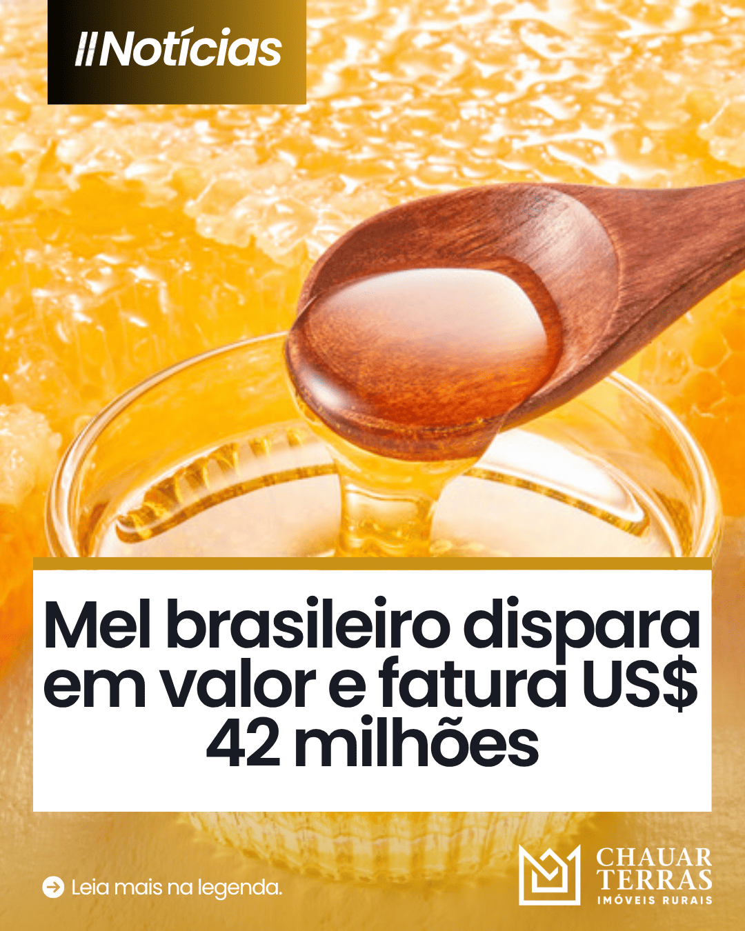 Mel brasileiro fatura US$ 42 milhões em 2026