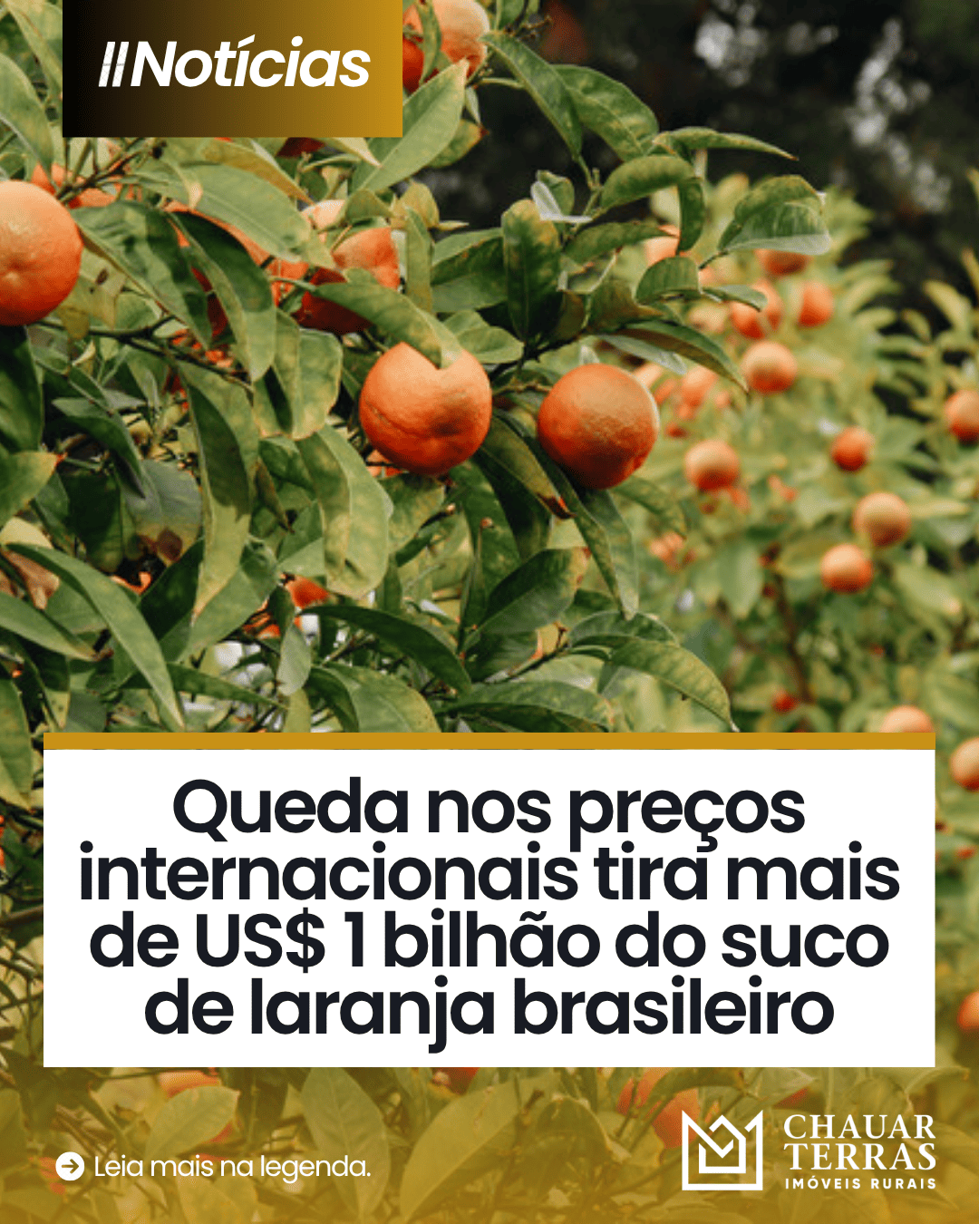 Receita do suco de laranja cai 30% no Brasil