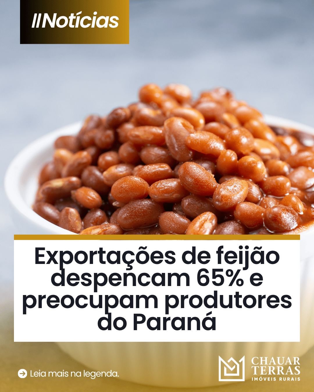 Exportação de feijão do Paraná despenca 65%