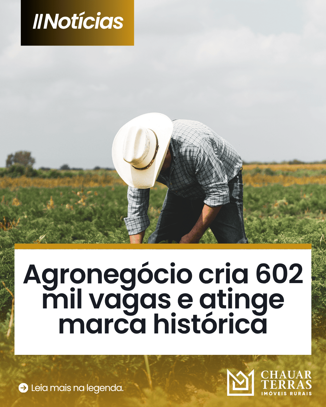 Agro cria 602 mil vagas e bate recorde histórico