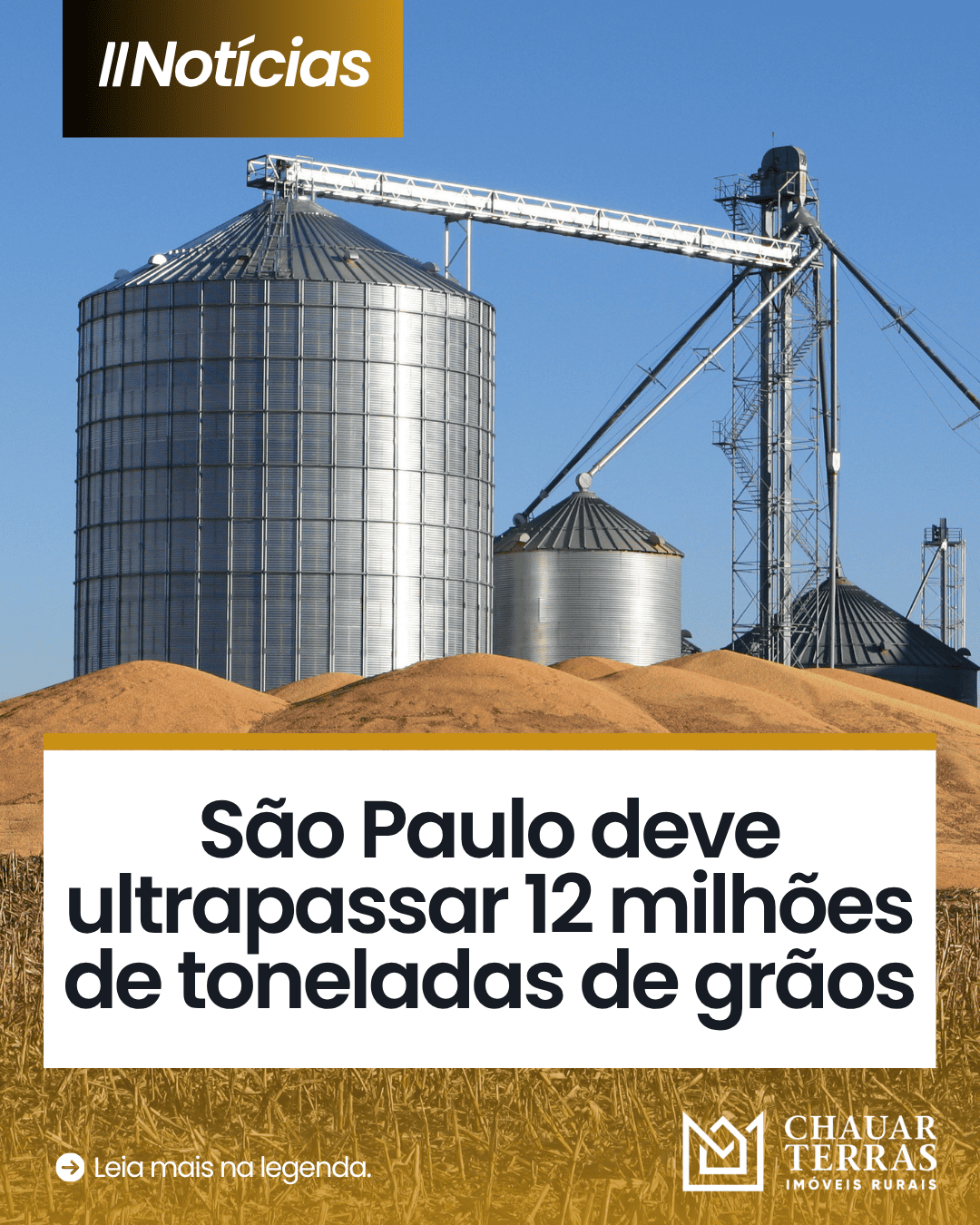 São Paulo pode bater recorde na safra de grãos