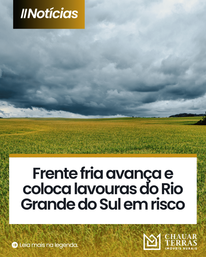 titulo publicacao