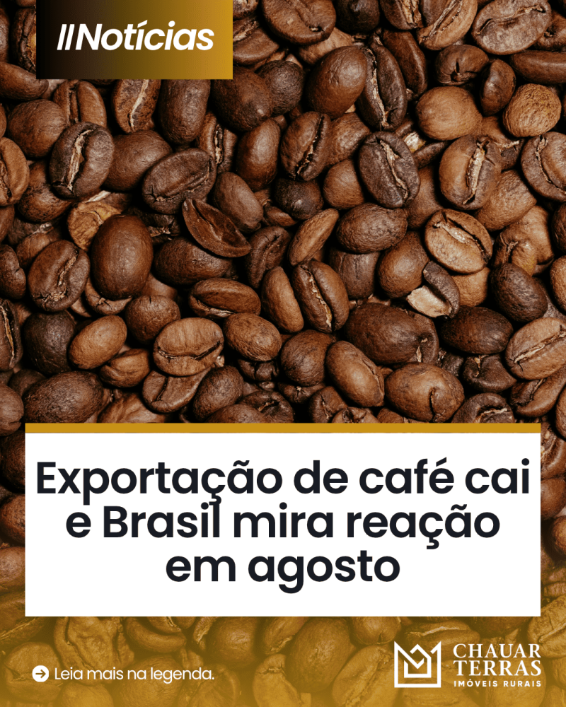 titulo publicacao