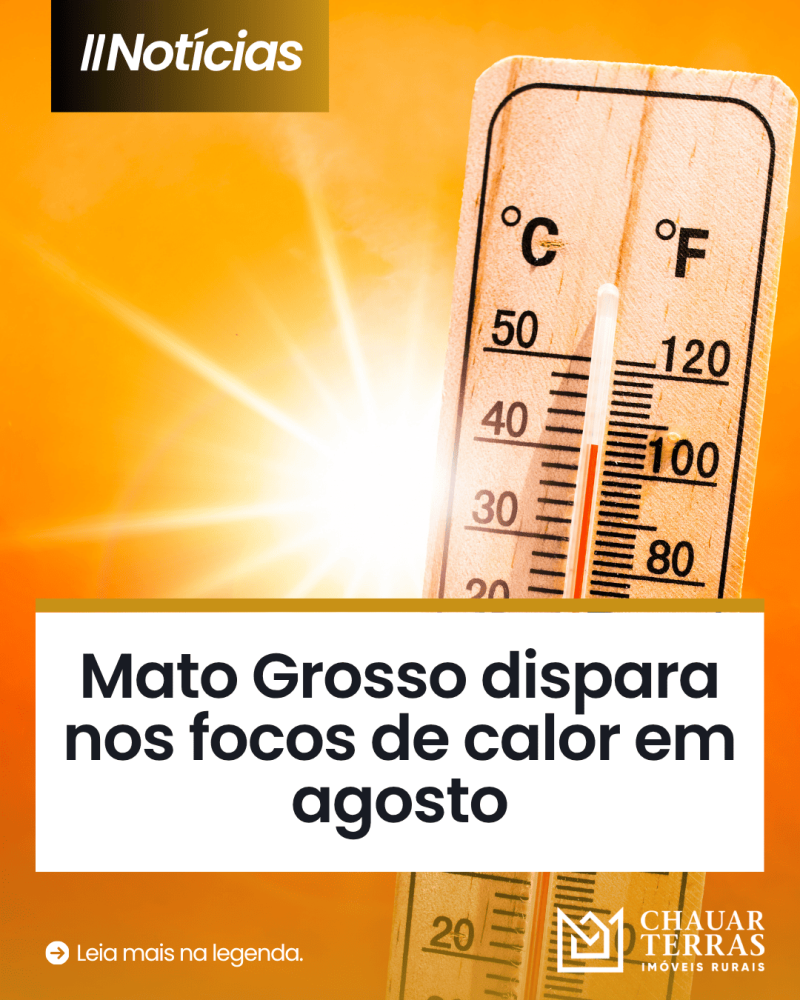 titulo publicacao