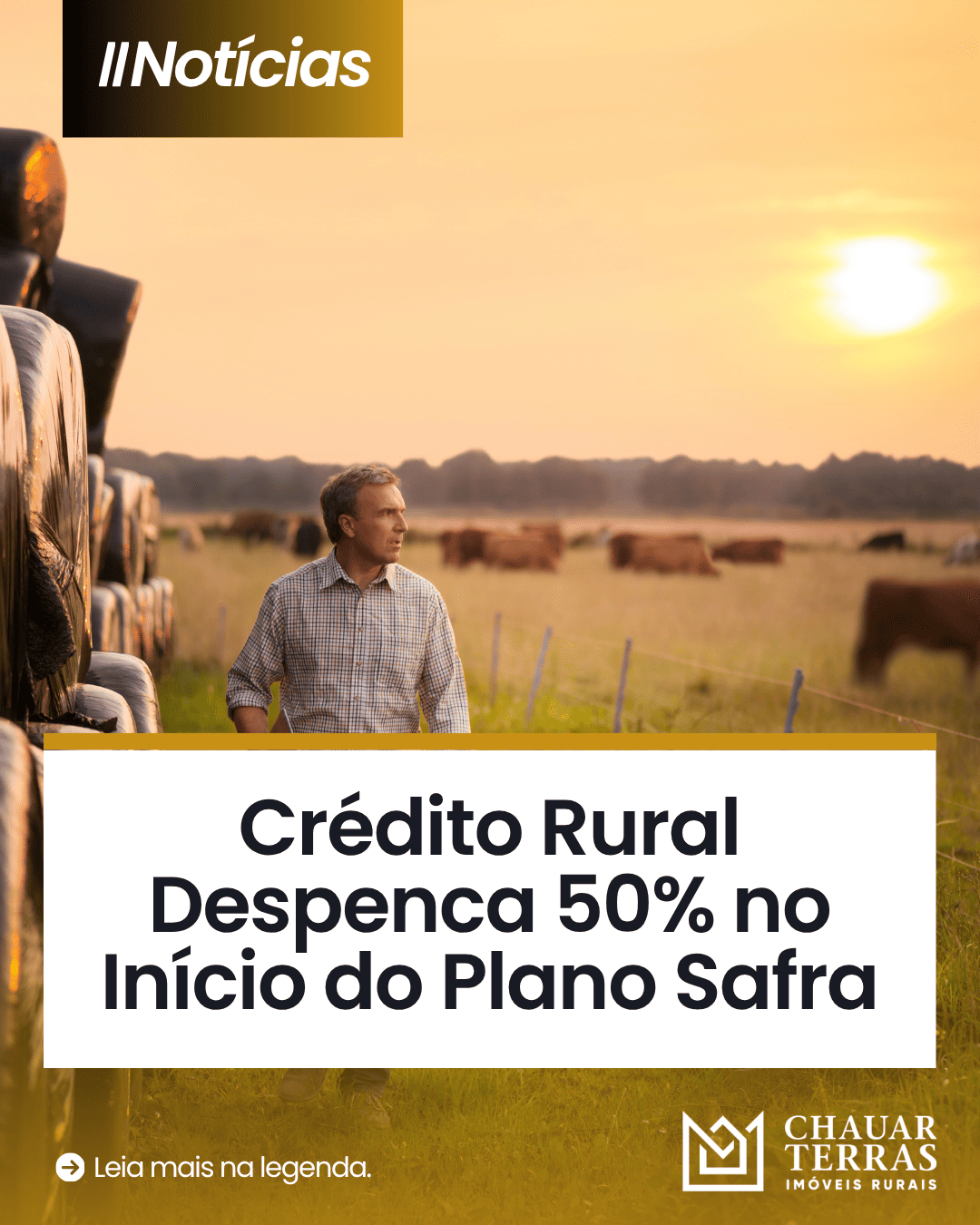 Crédito Rural Cai 50% e Acende Alerta no Agronegócio